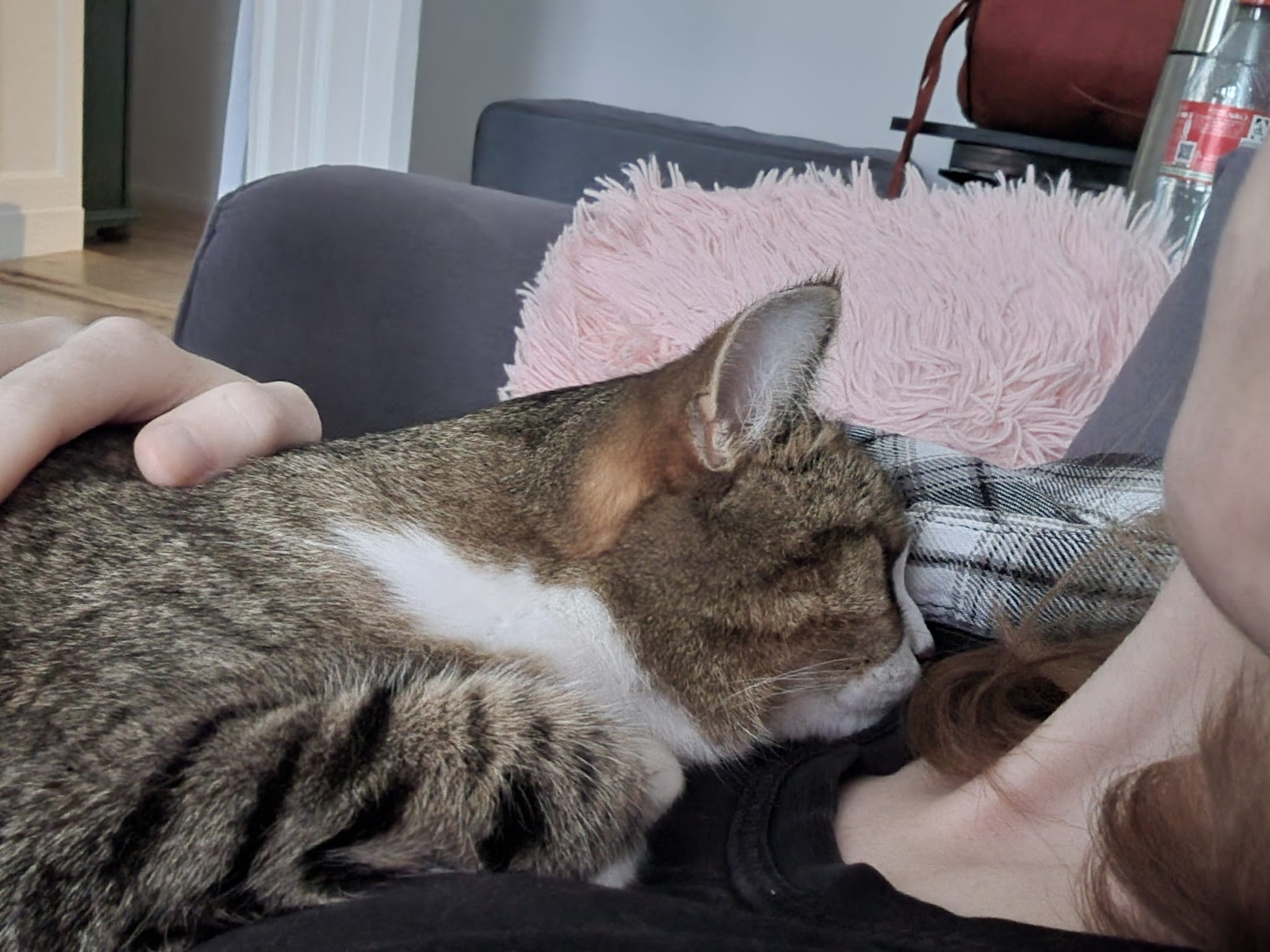 image-14