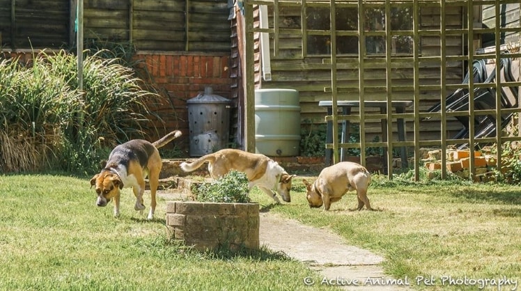 image-9