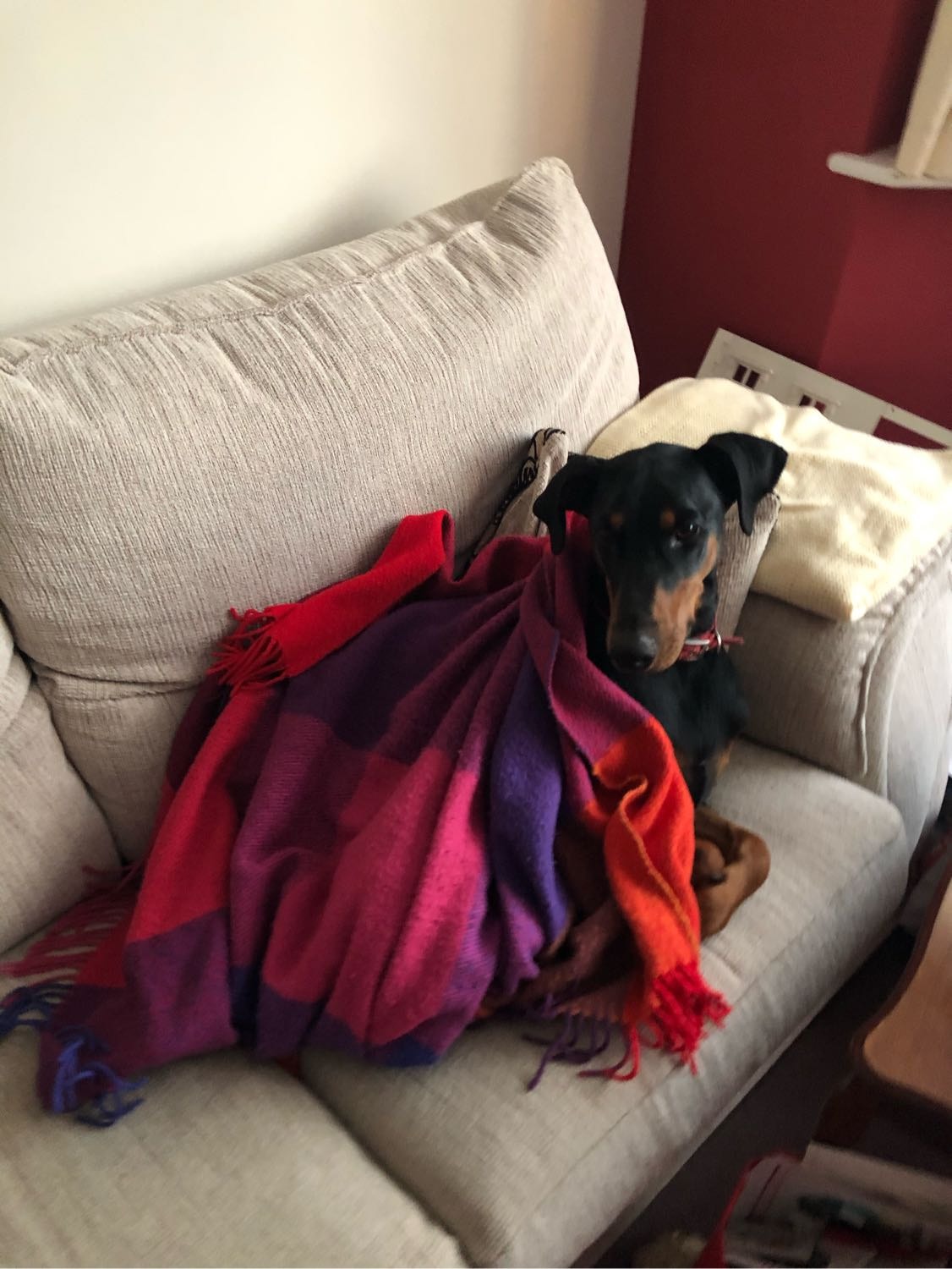image-20