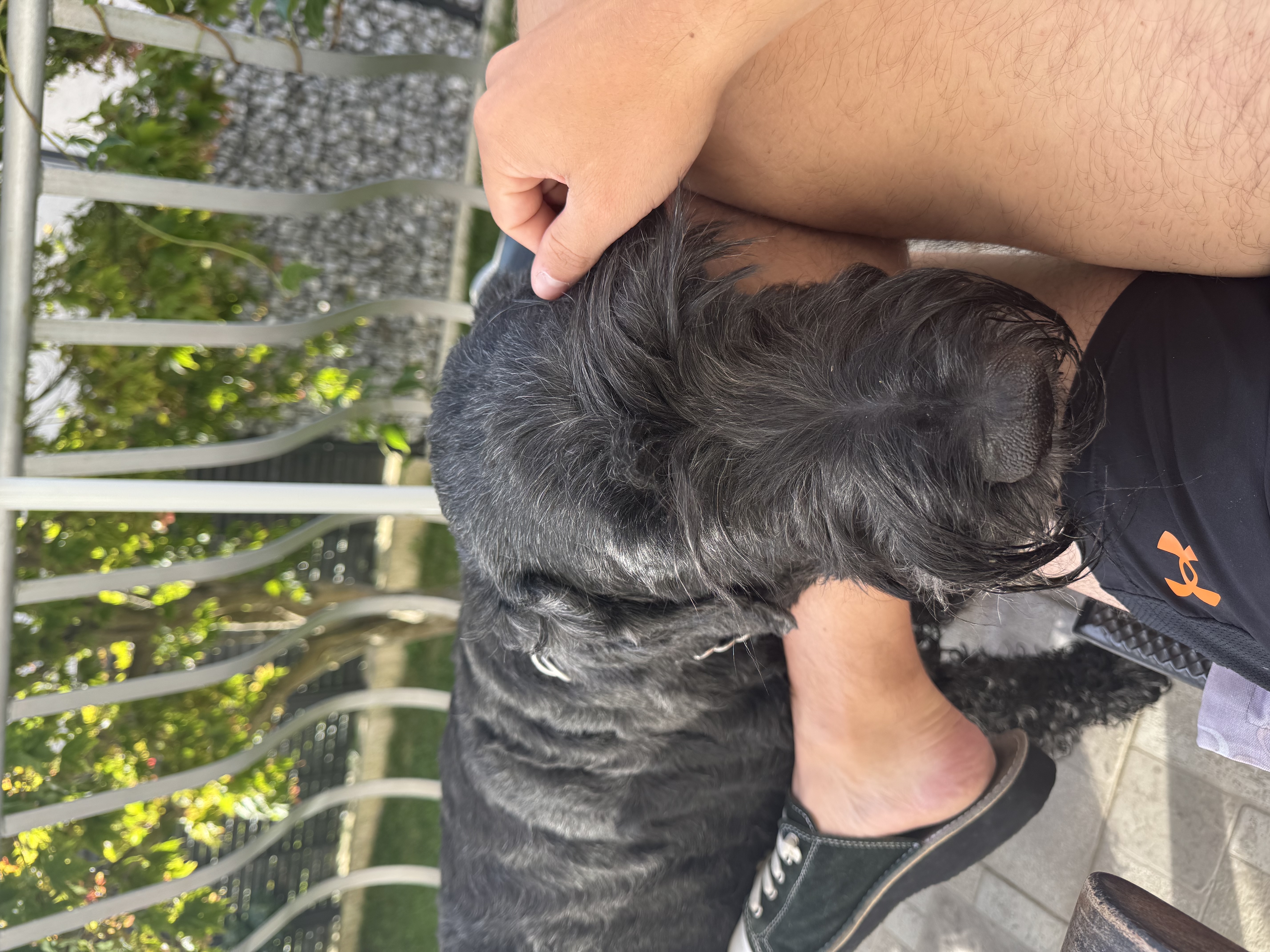 image-6