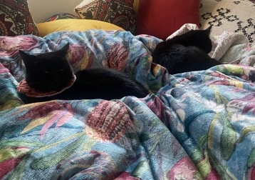 Emma Goldman And Rosa Luxembourg