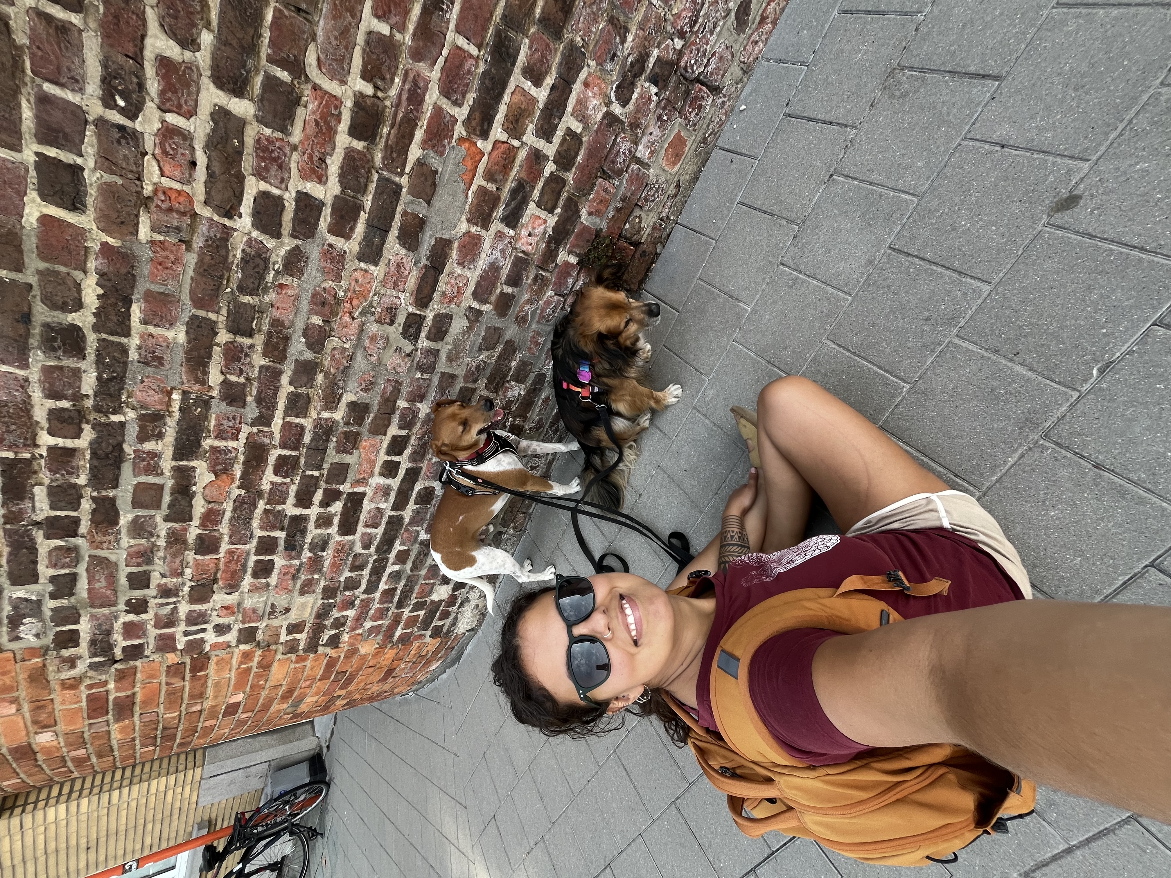 image-17