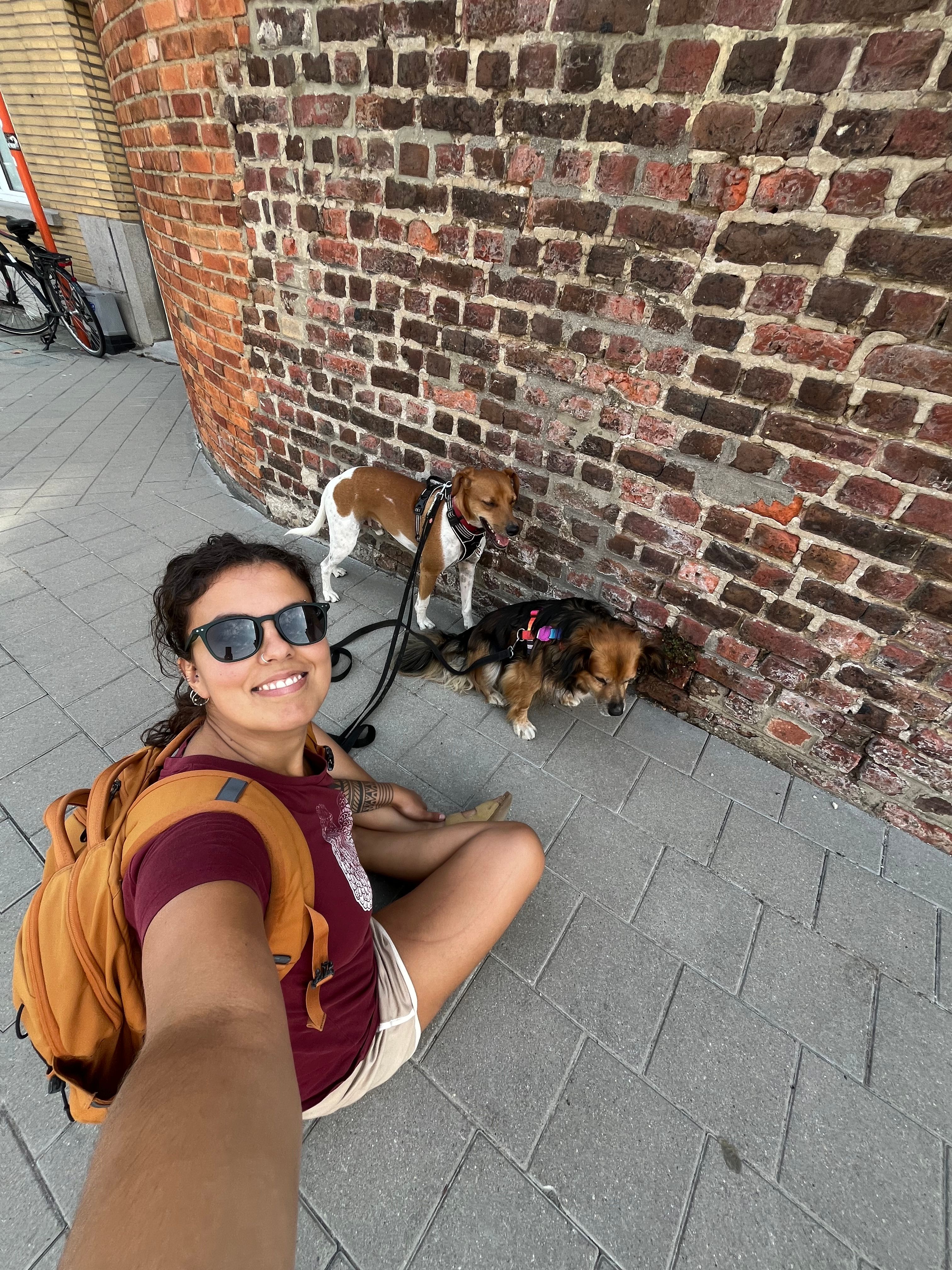 image-17