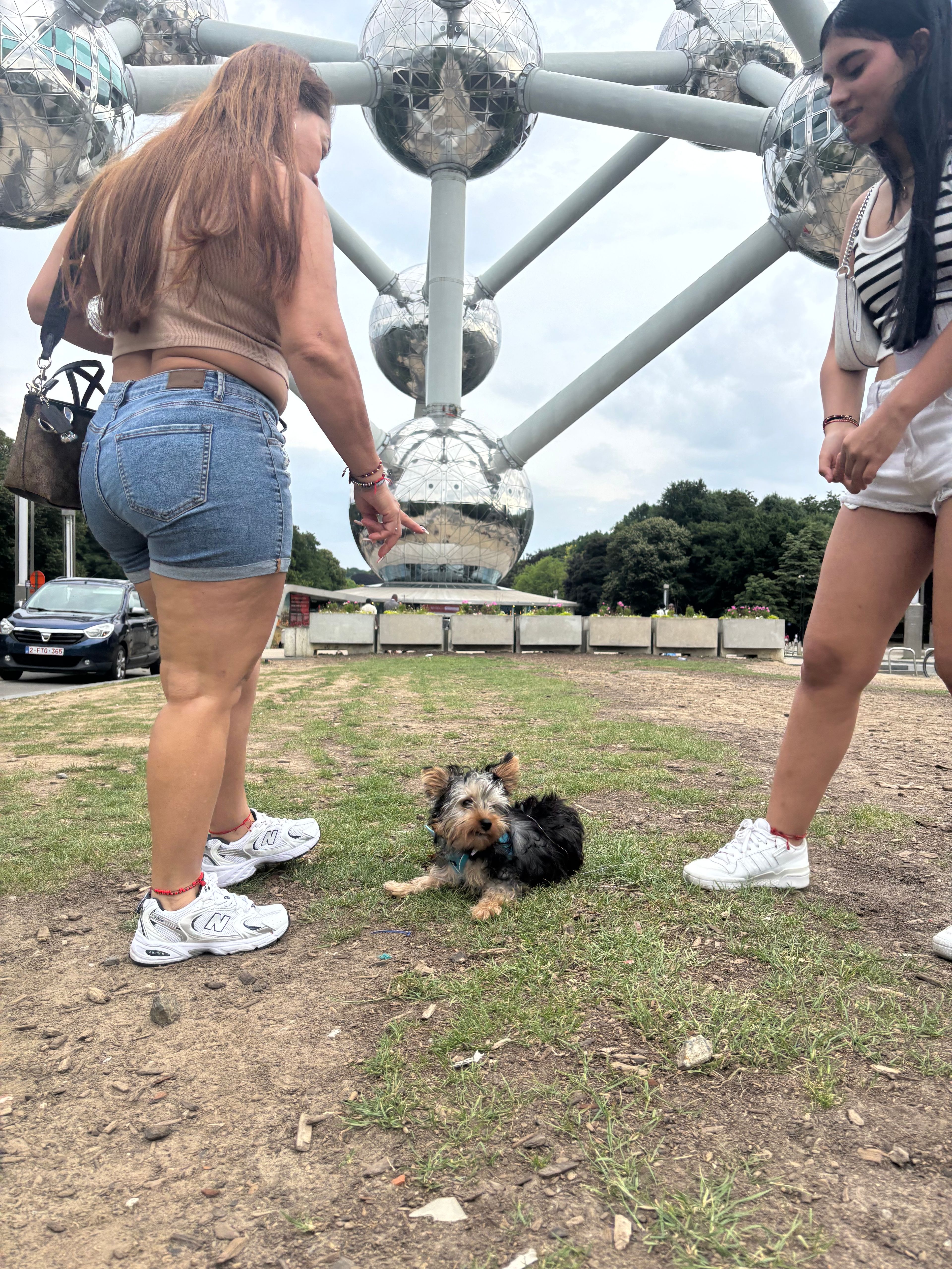 image-6