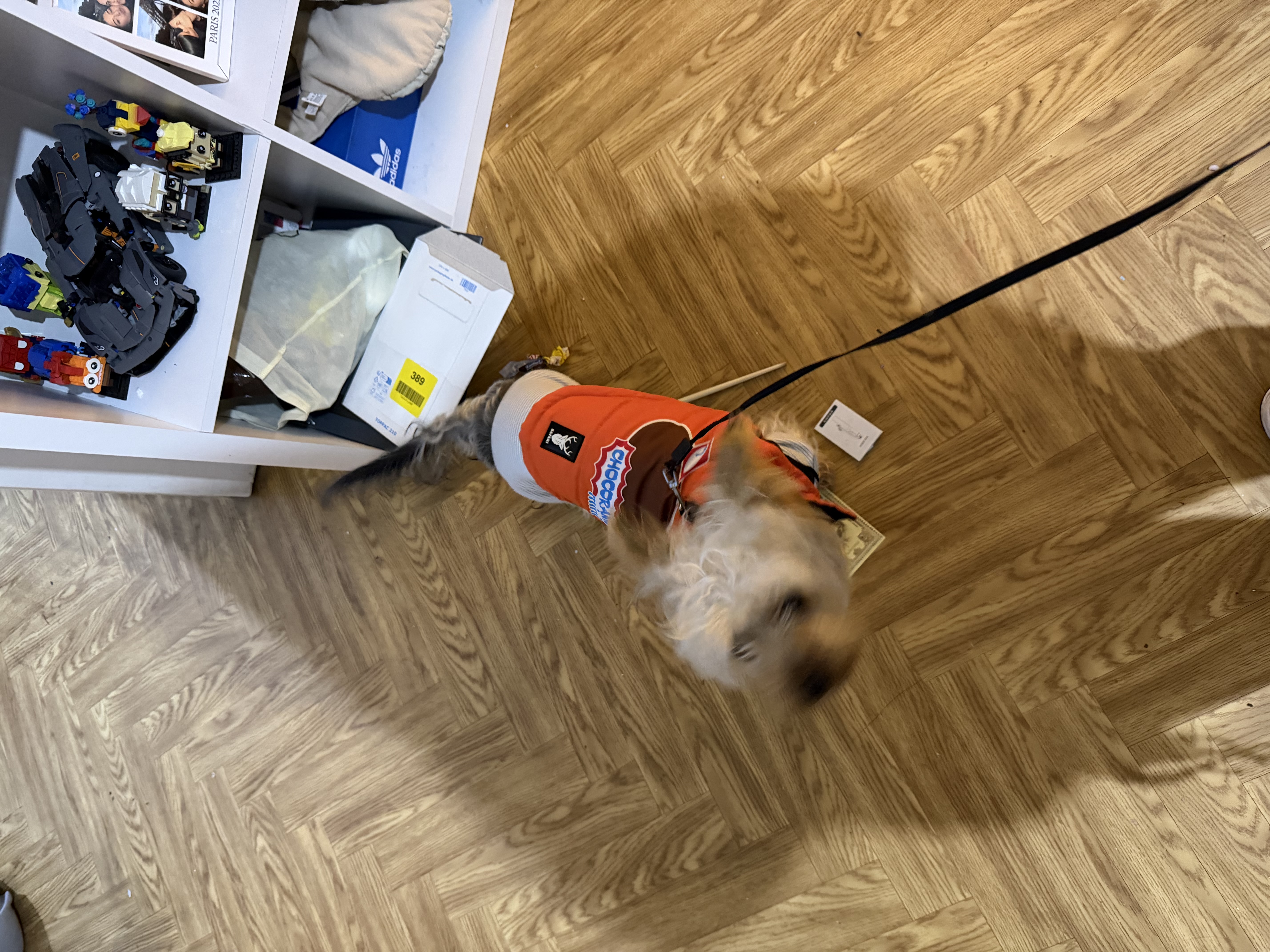 image-13