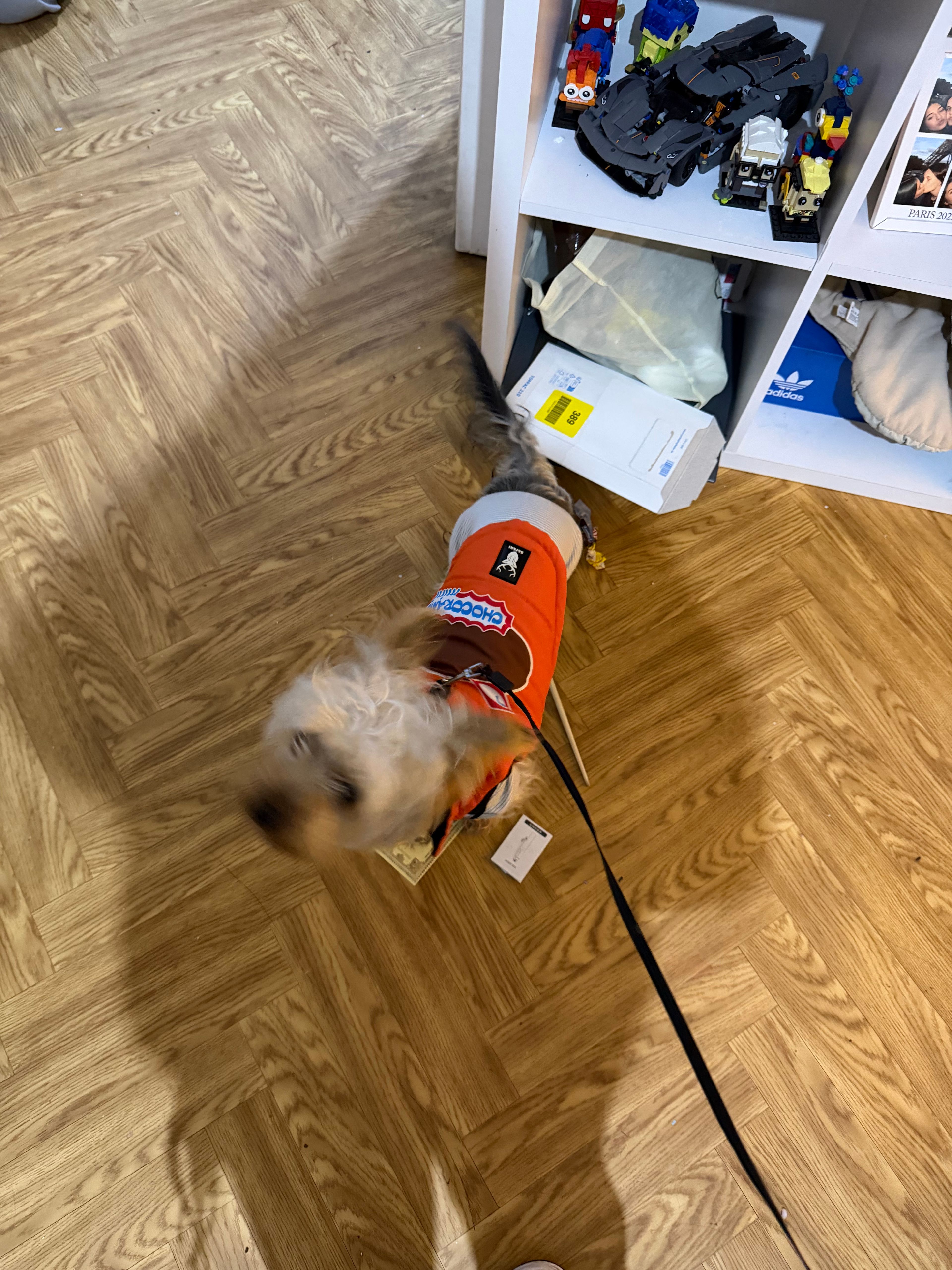 image-13
