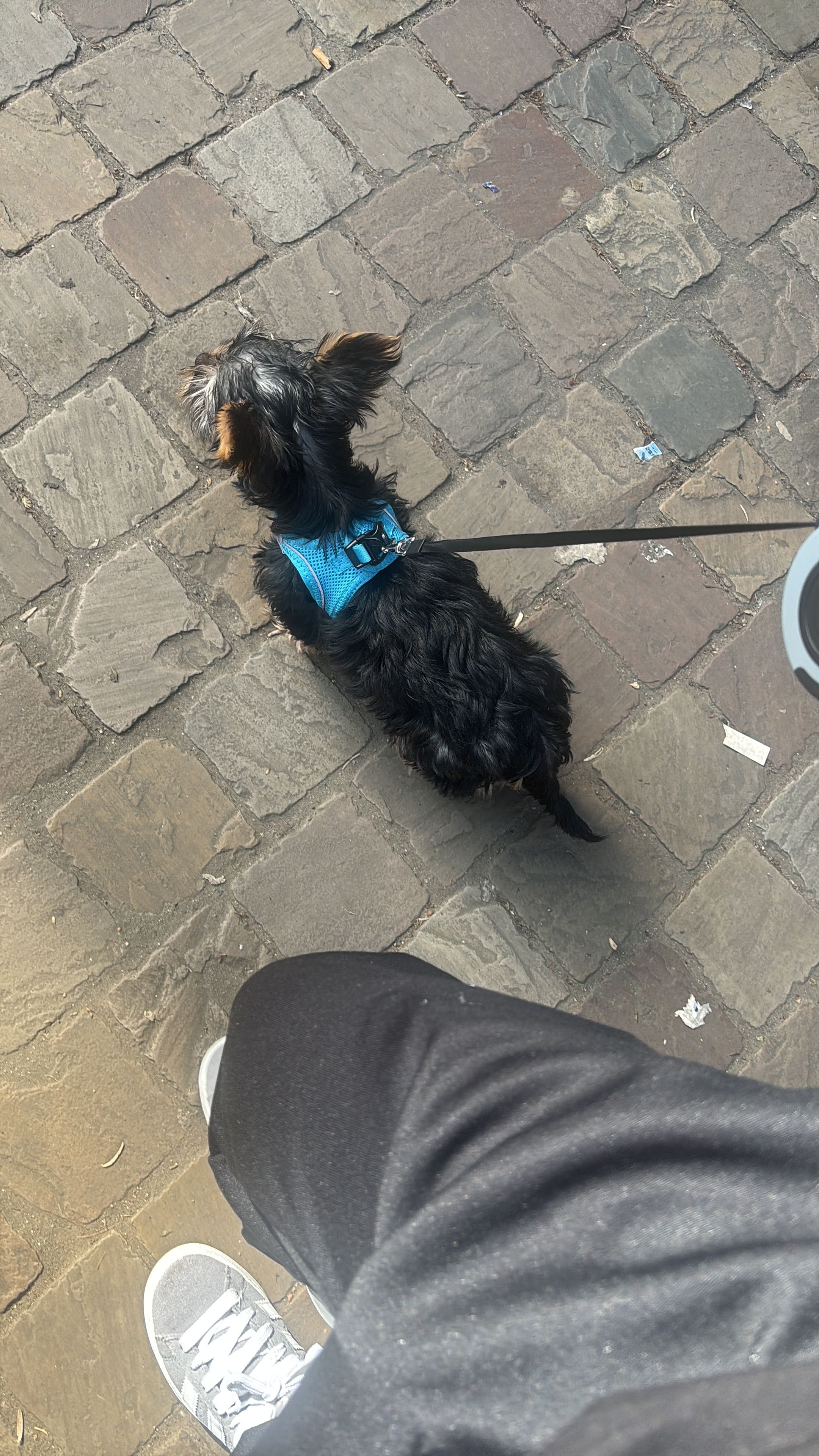 image-10