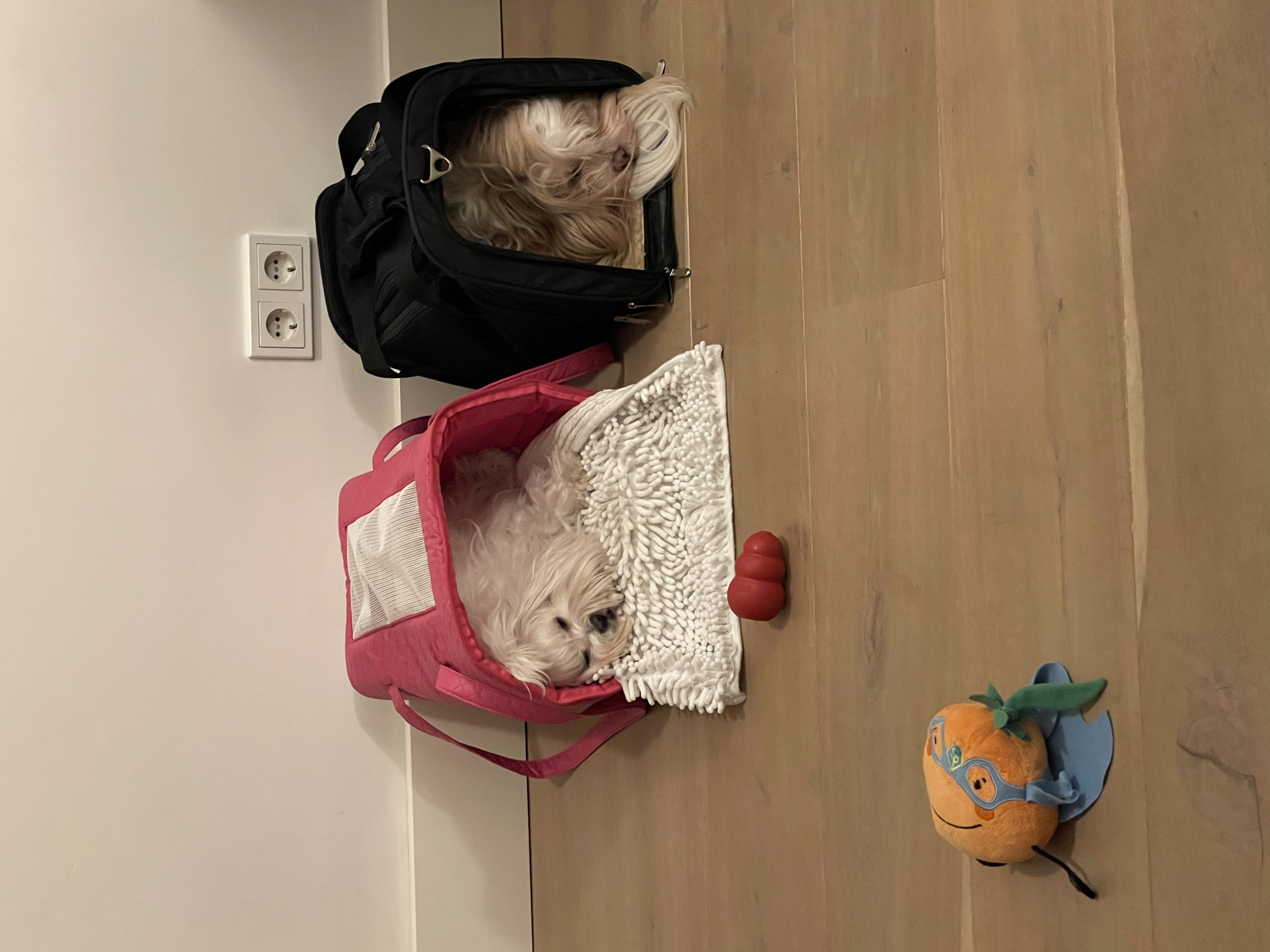 image-41