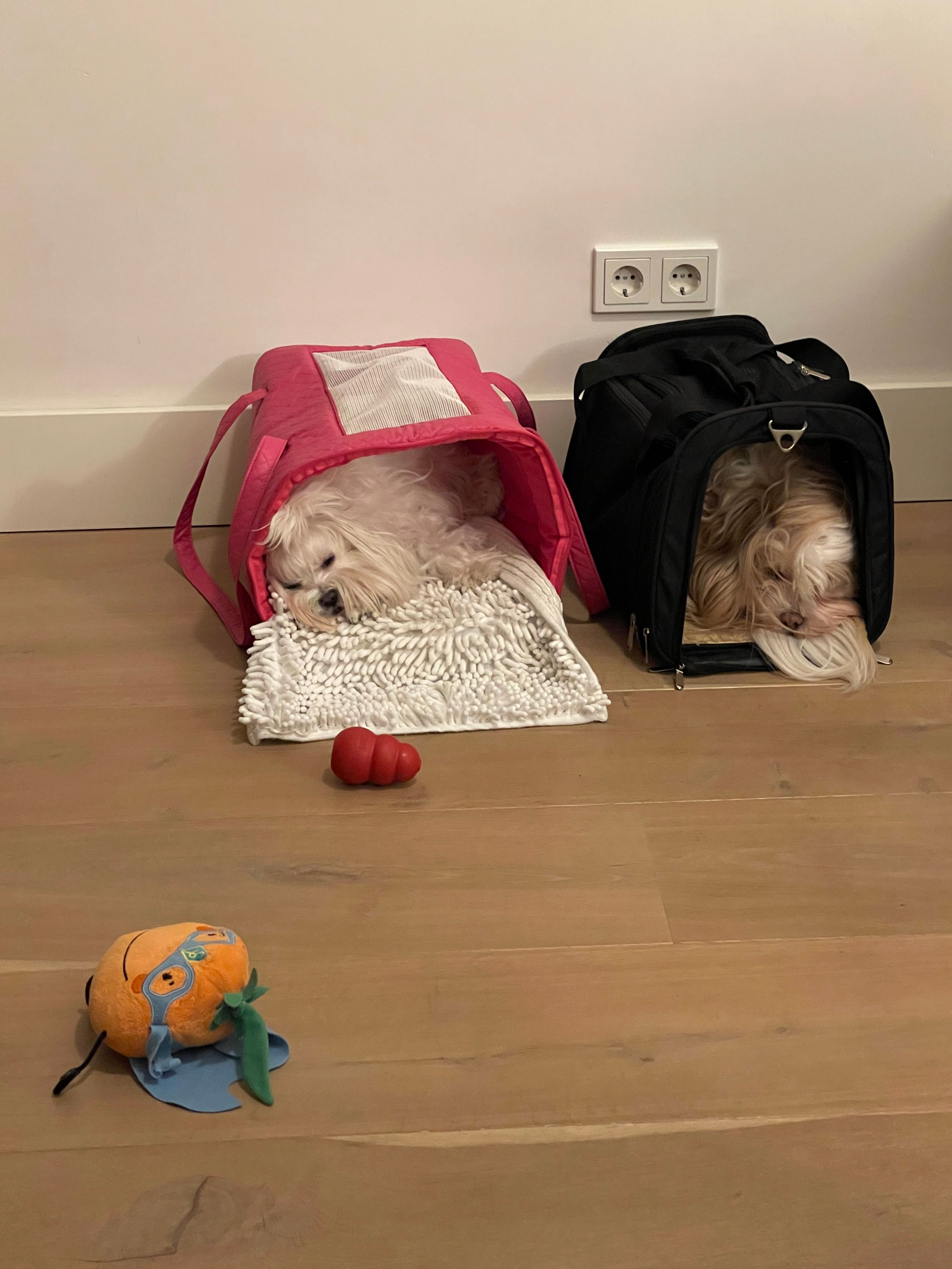 image-41