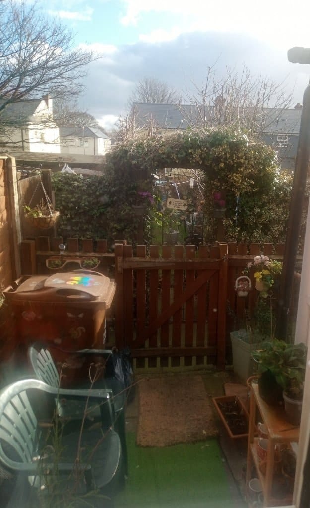 image-6