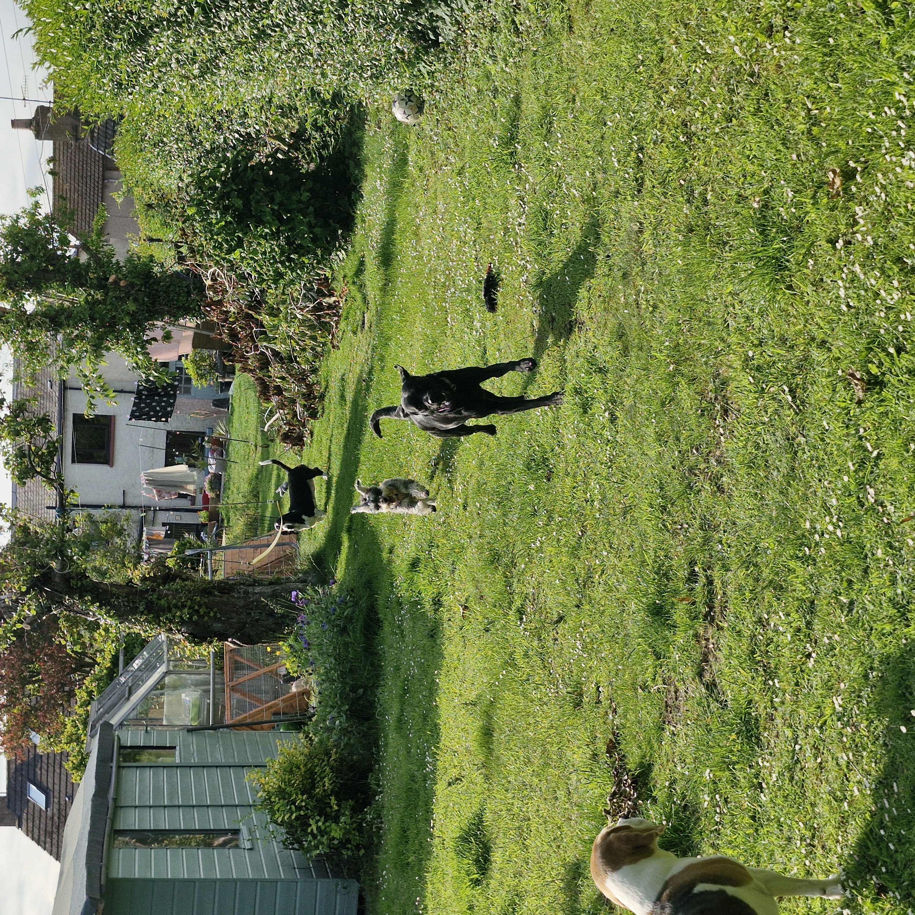 image-22