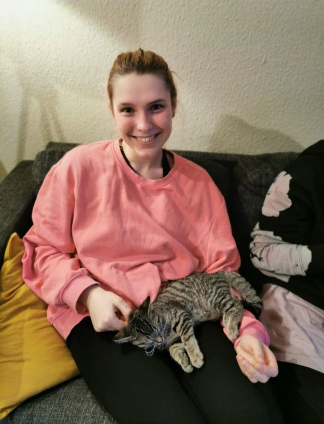image-8