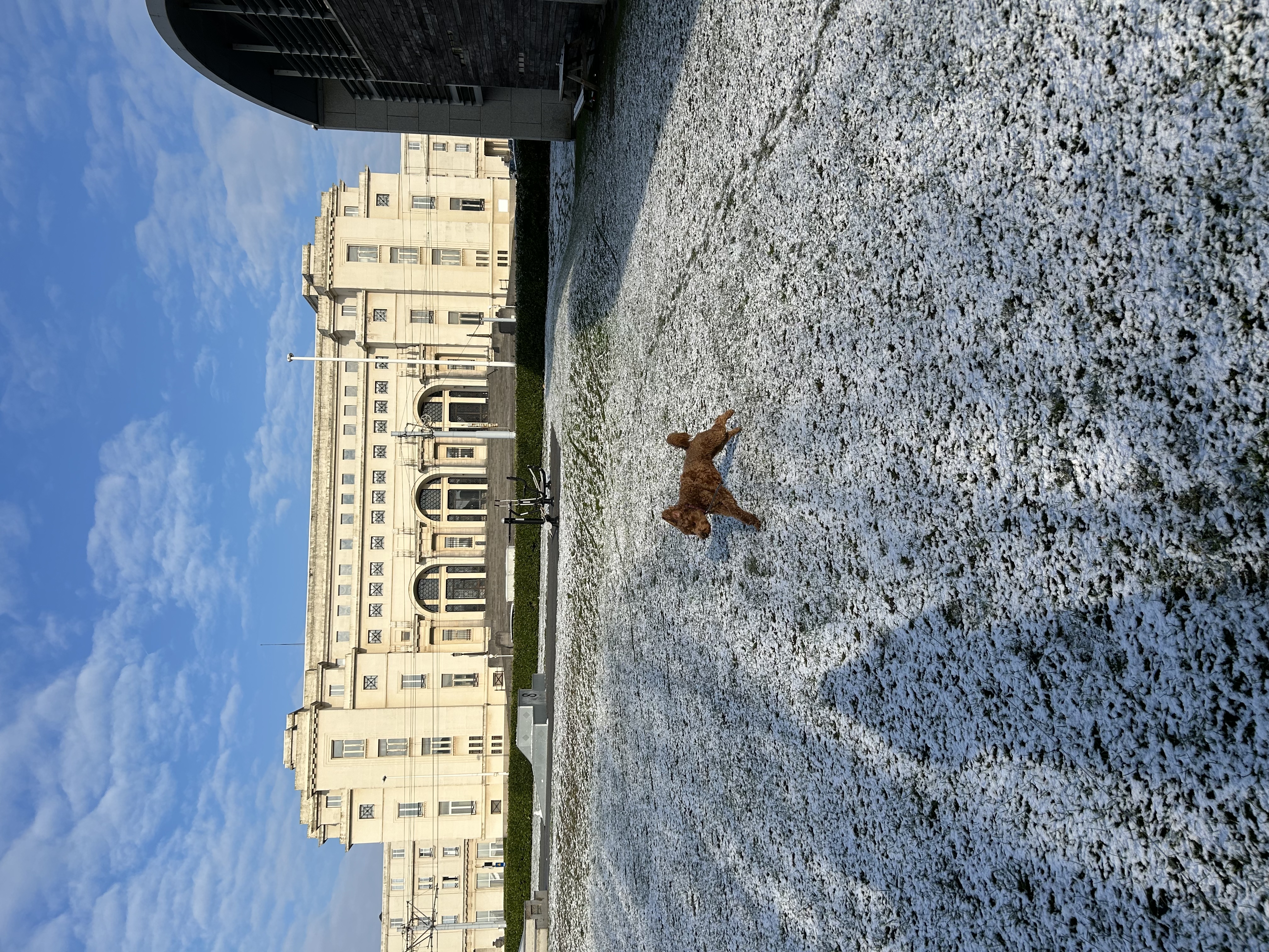 image-14