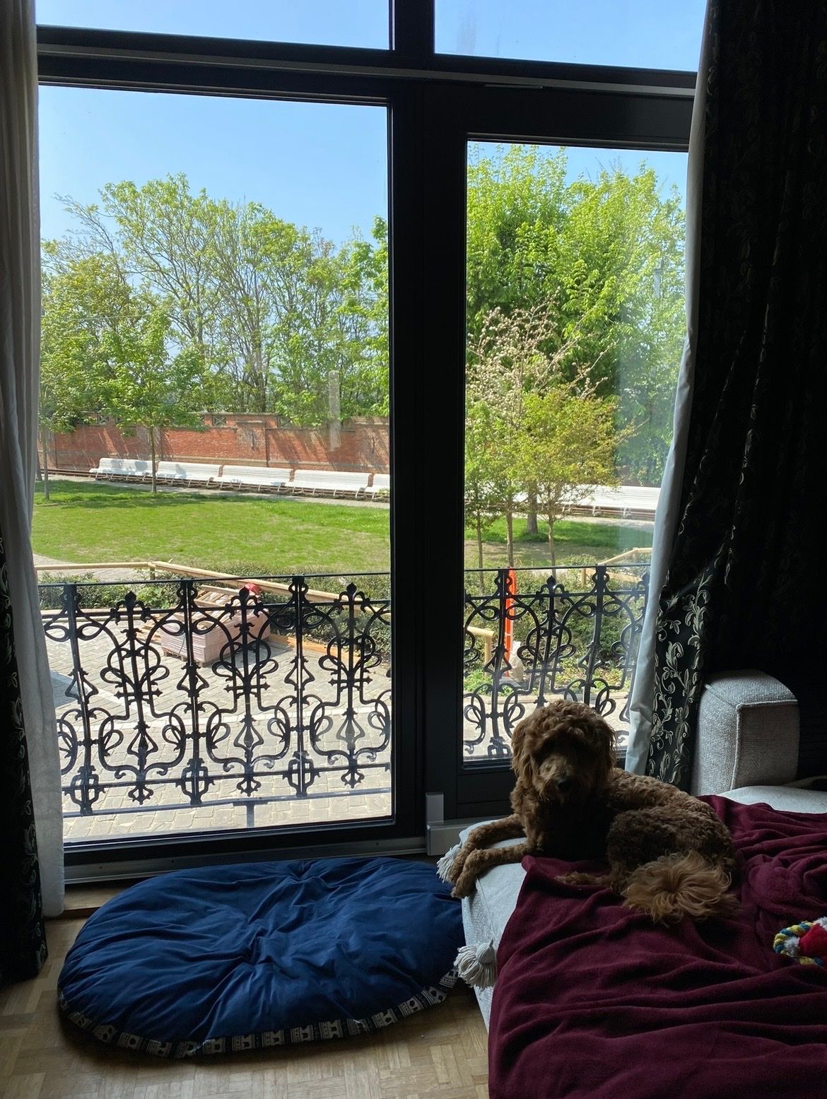 image-12