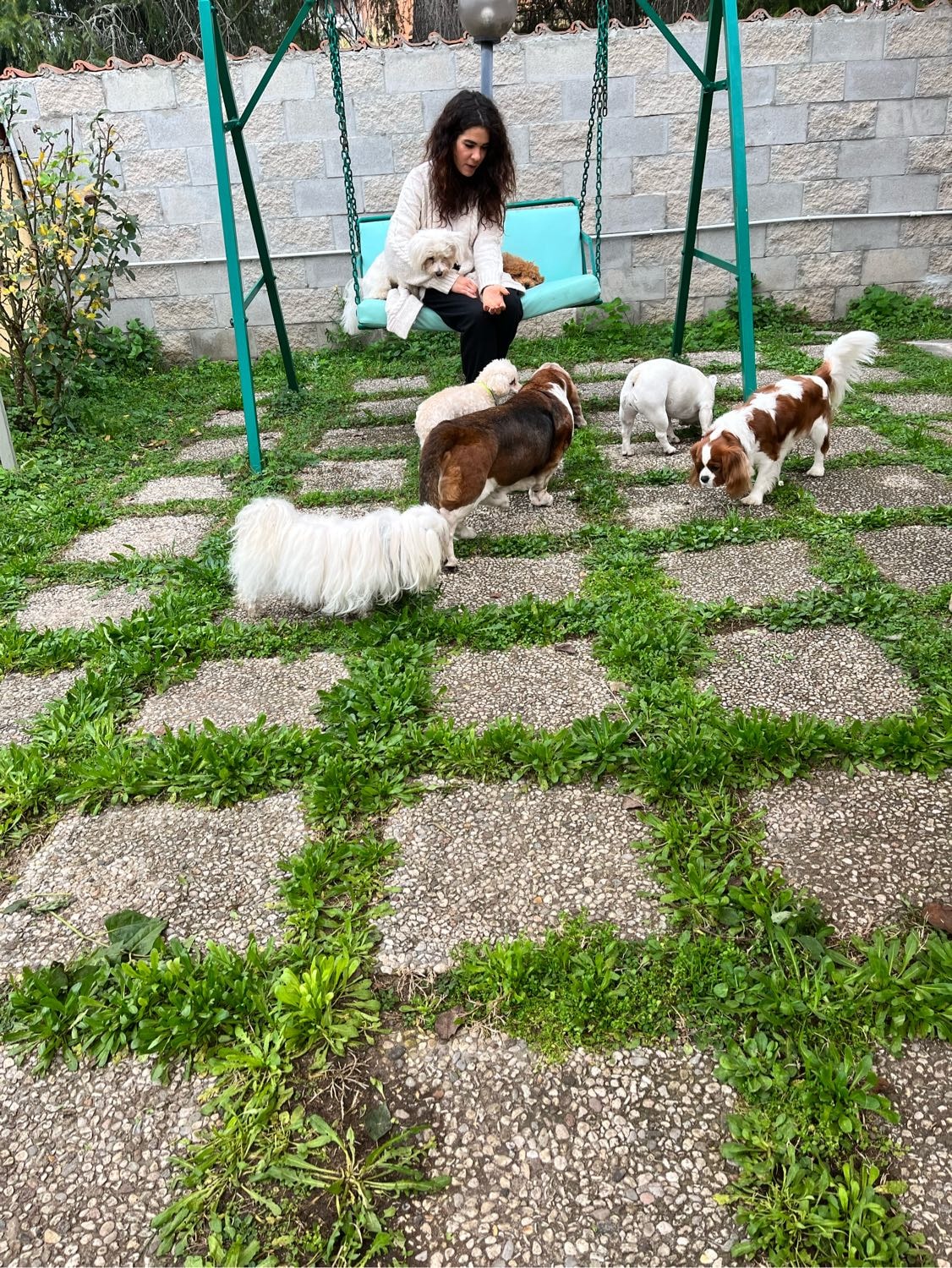 image-7