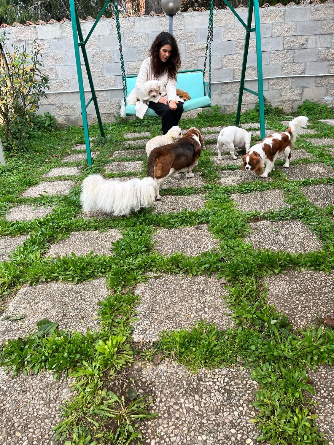 image-7