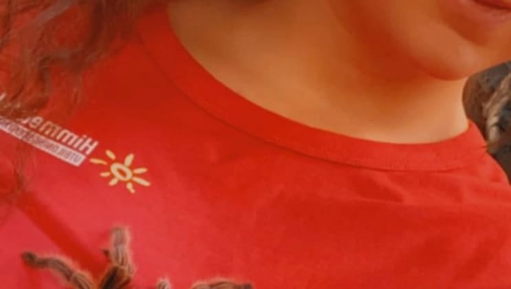 image-5