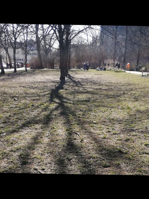 image-16