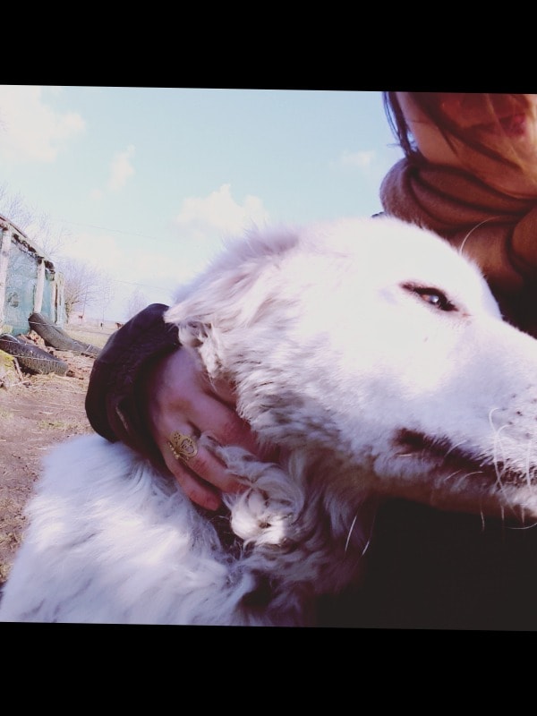 image-0