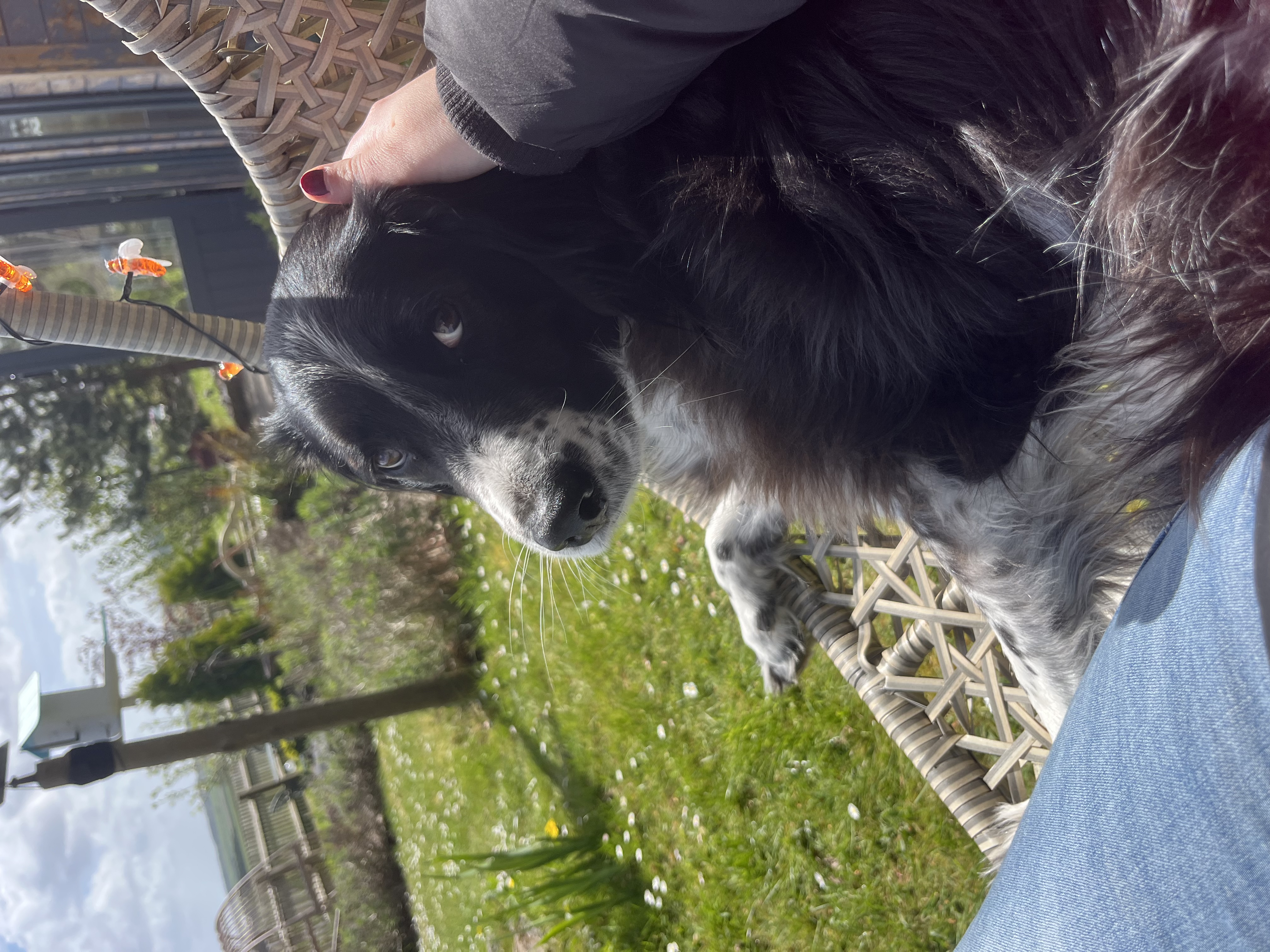 image-8