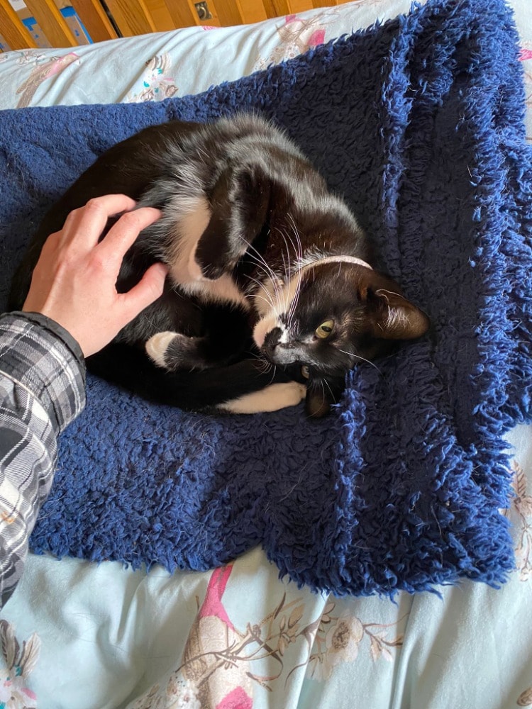 image-8
