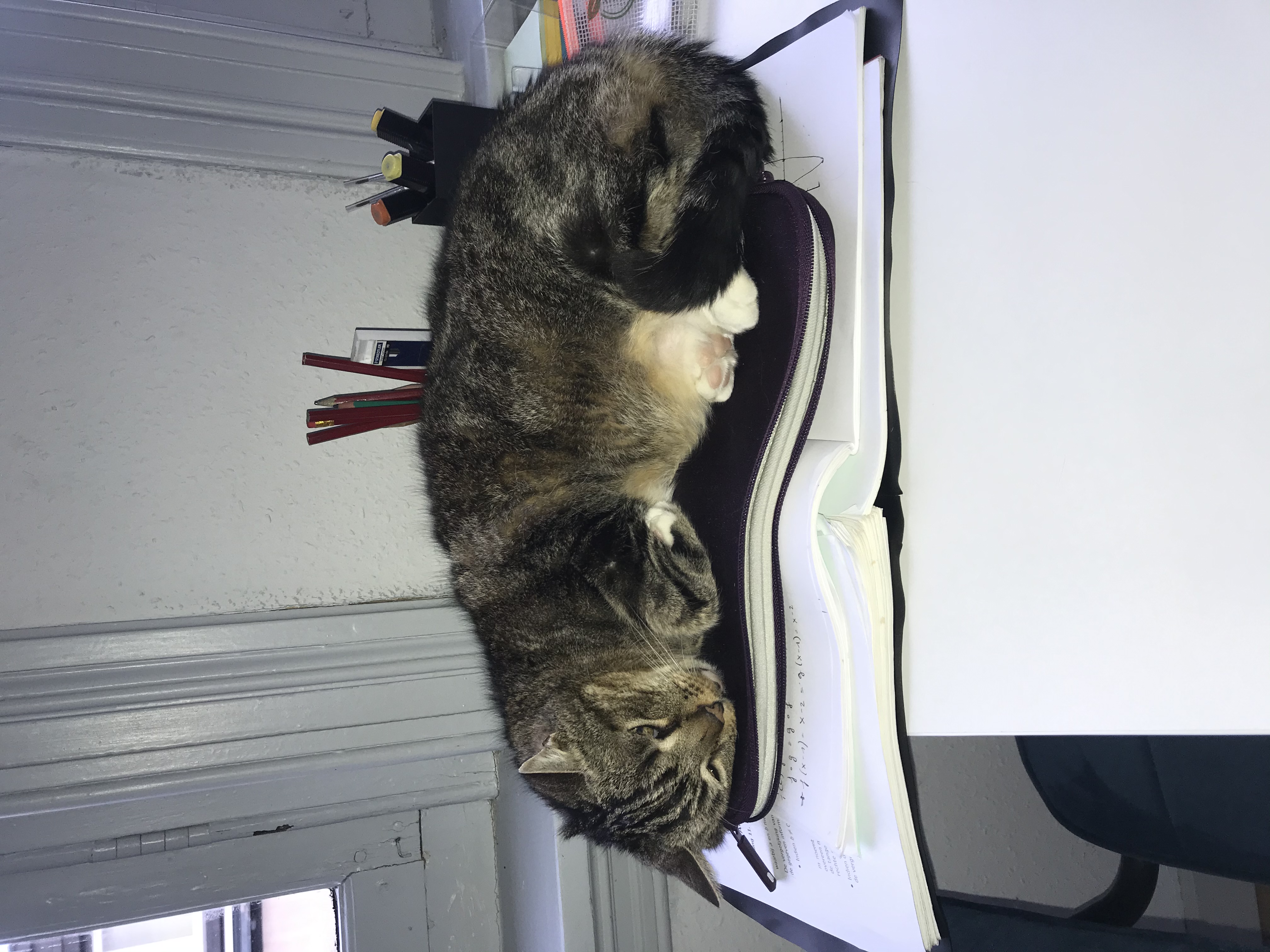 image-6