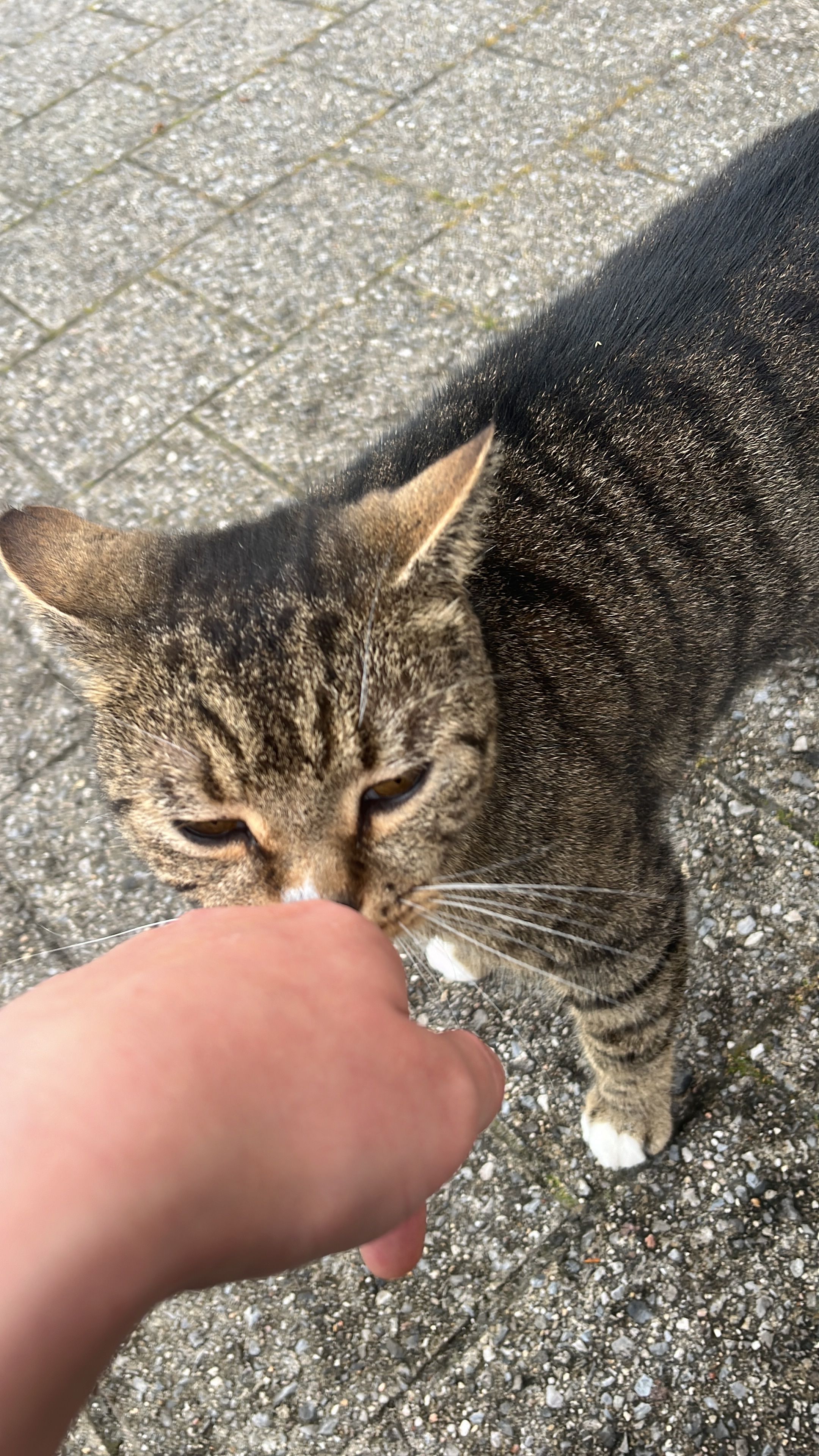 image-5