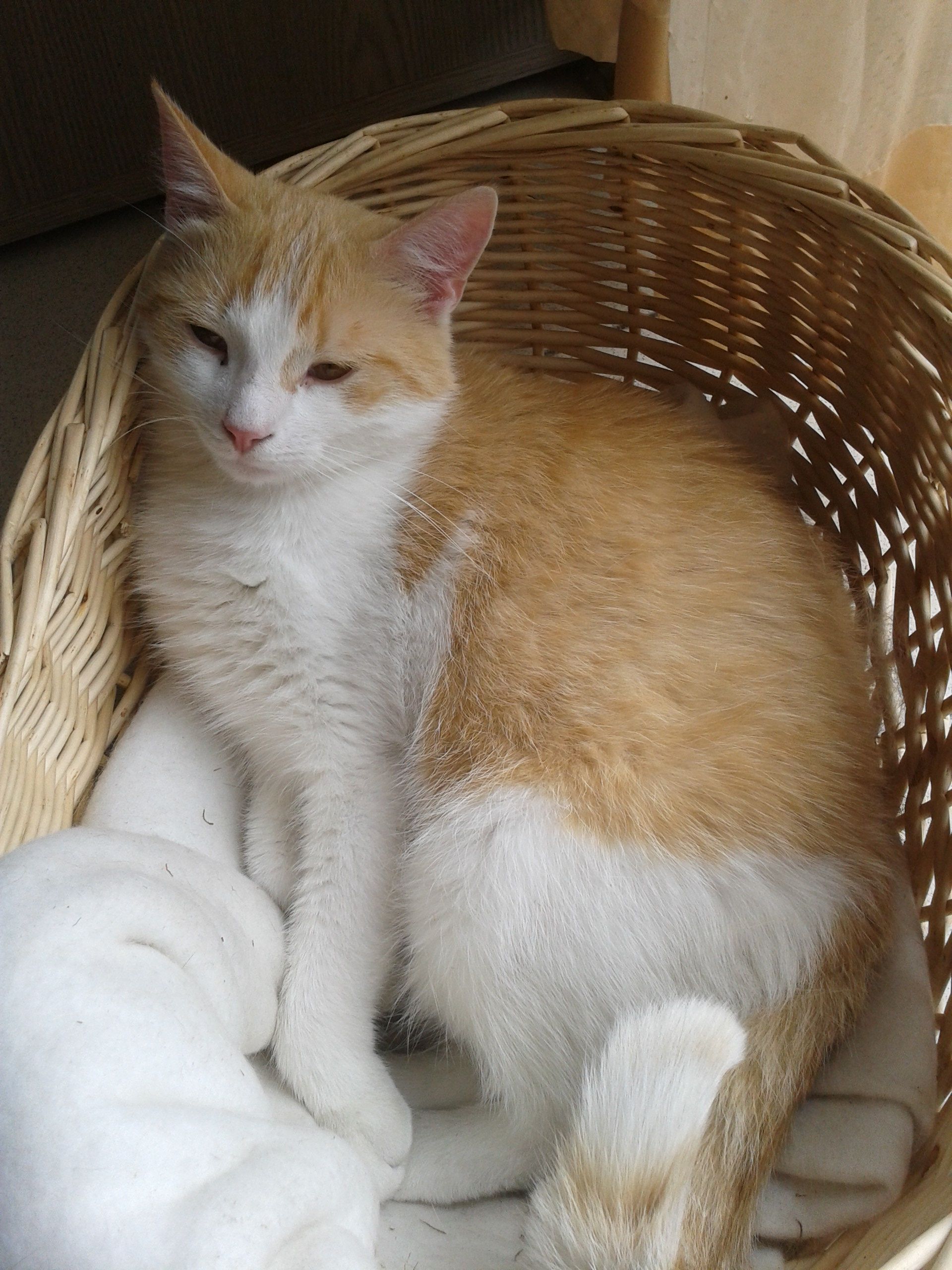 image-10