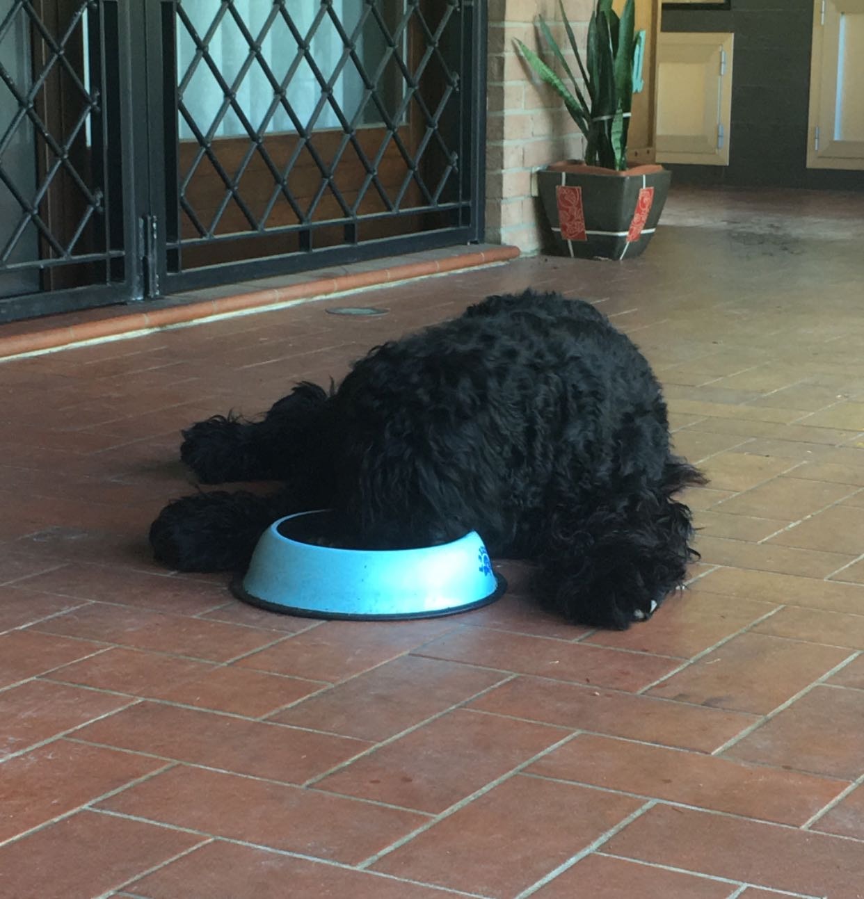 image-5