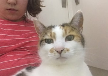 Lola