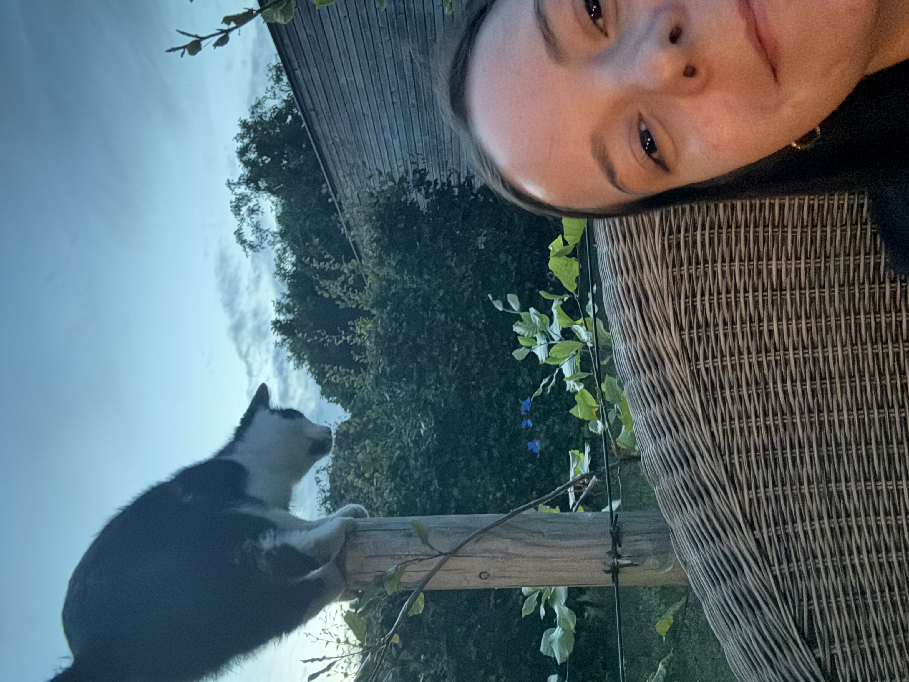 image-9