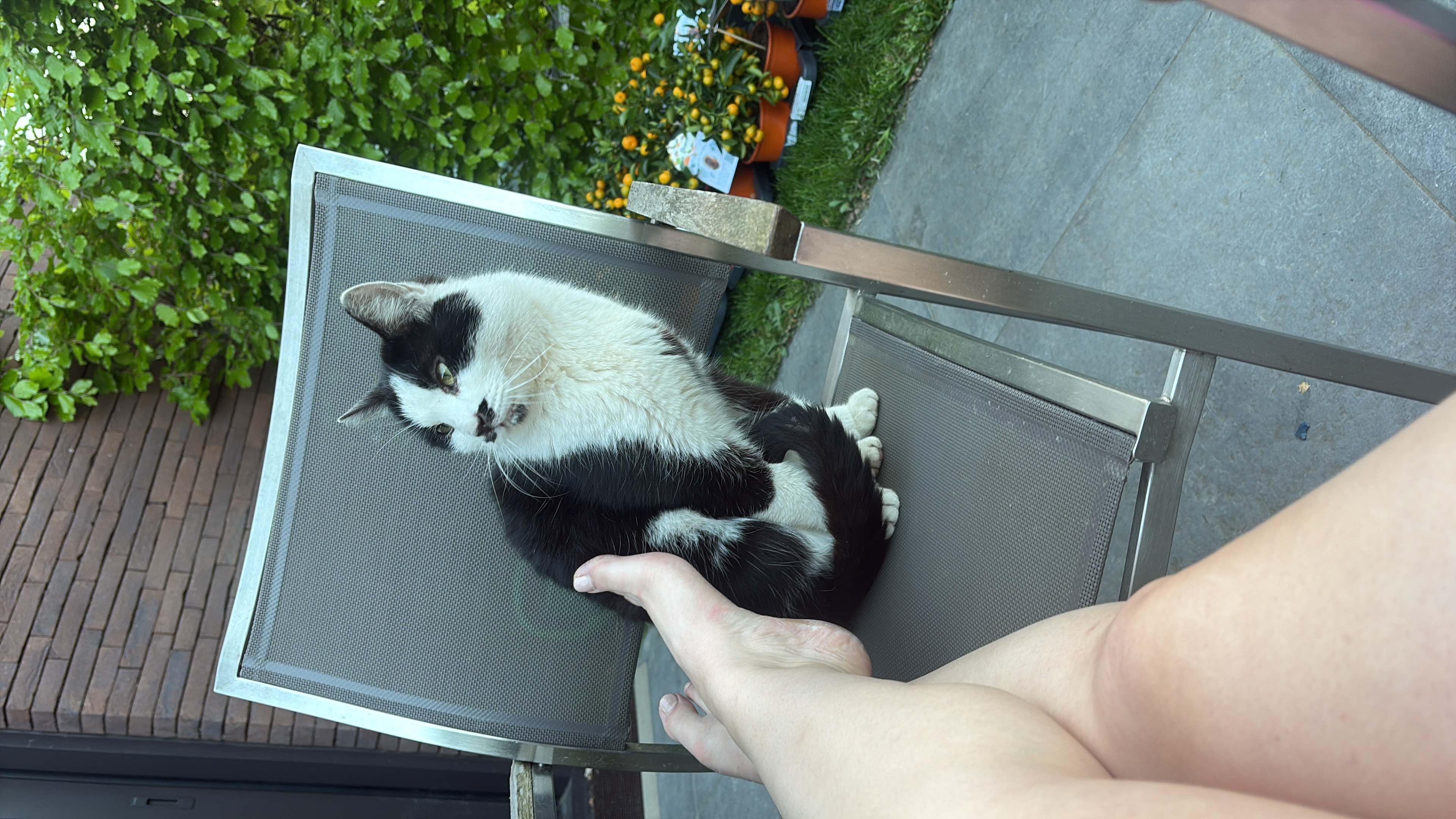 image-7