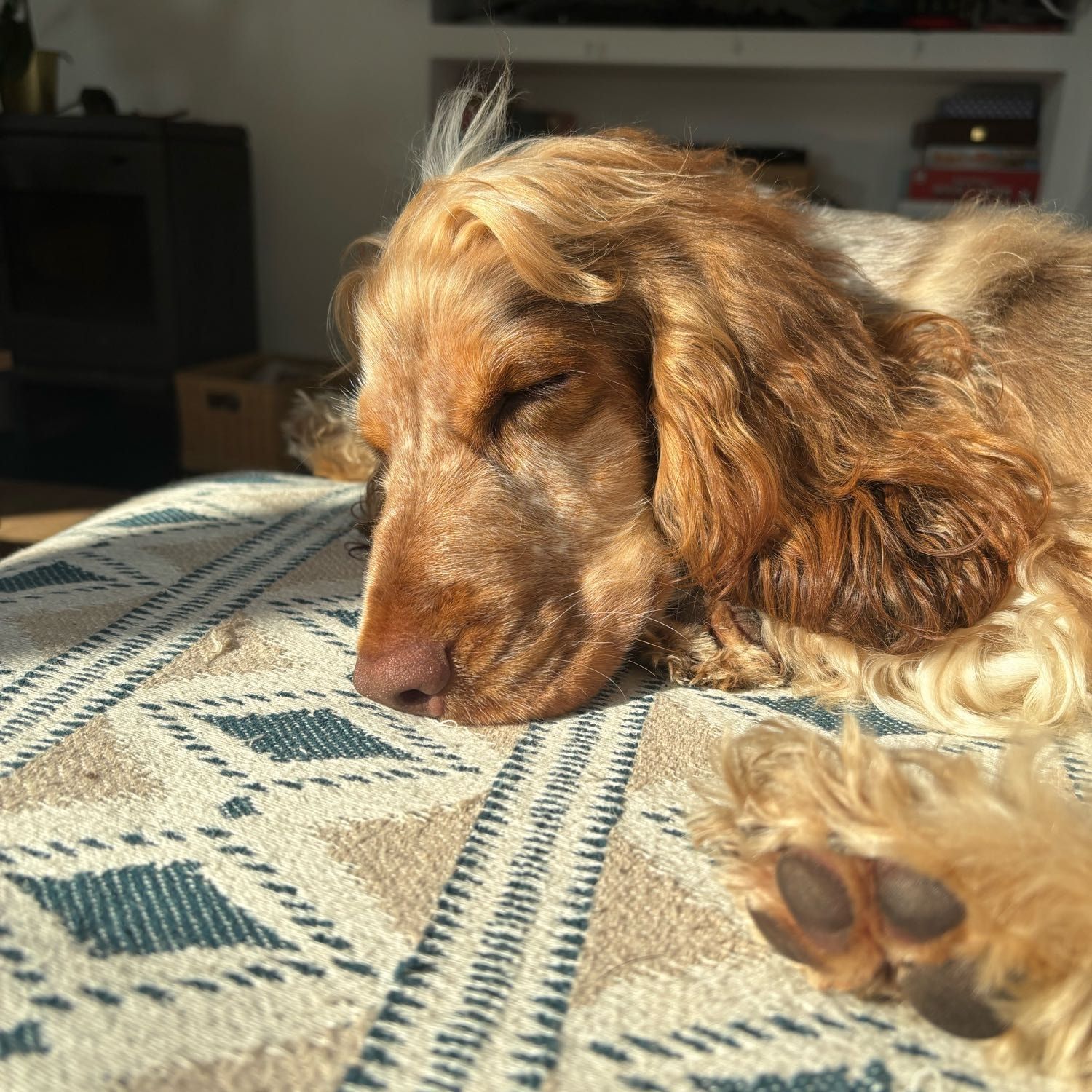 Tilly