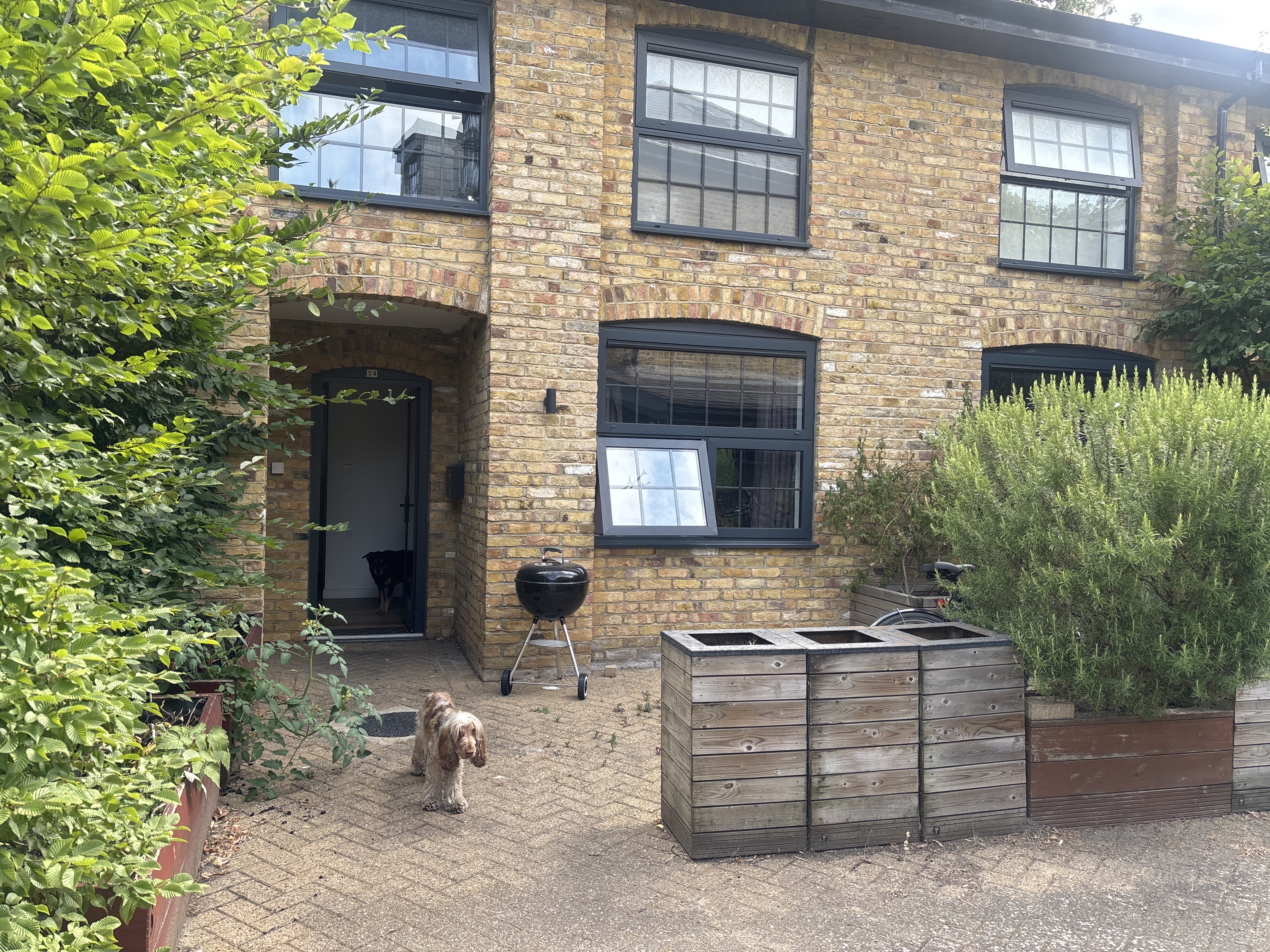 image-15
