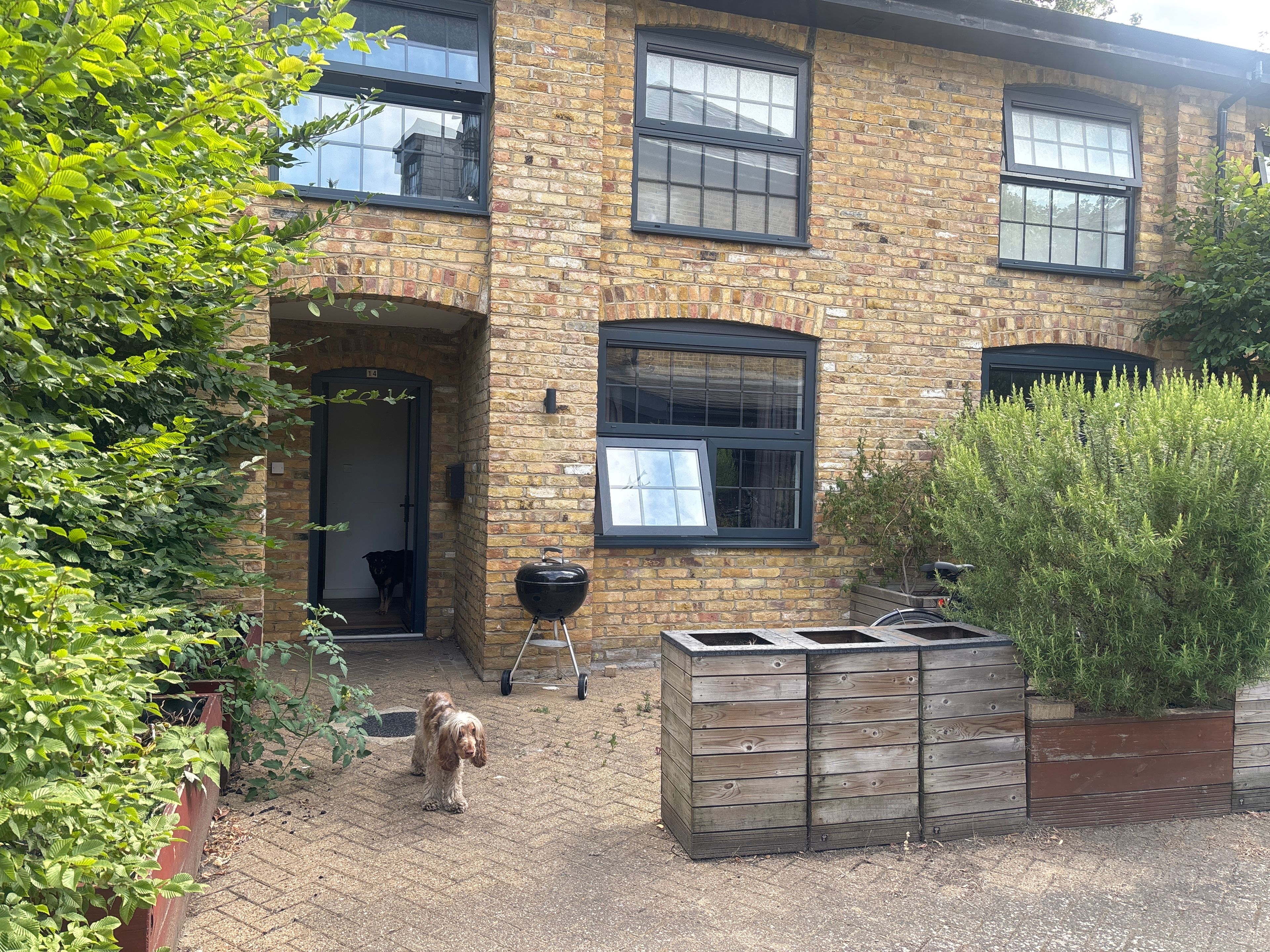 image-15
