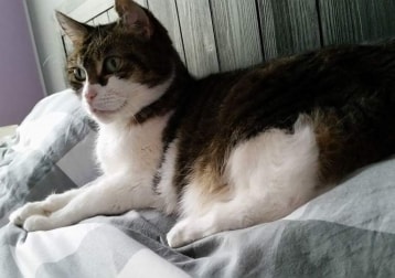 Chloe Leider Verstorben