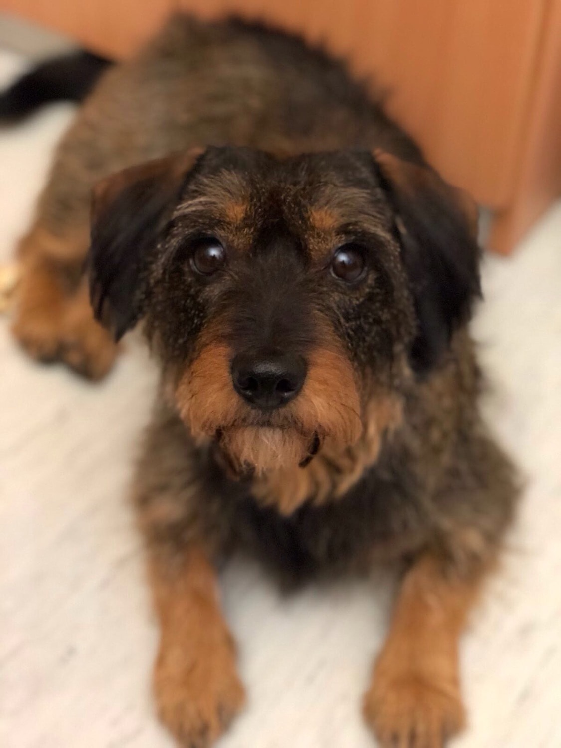 Sabine