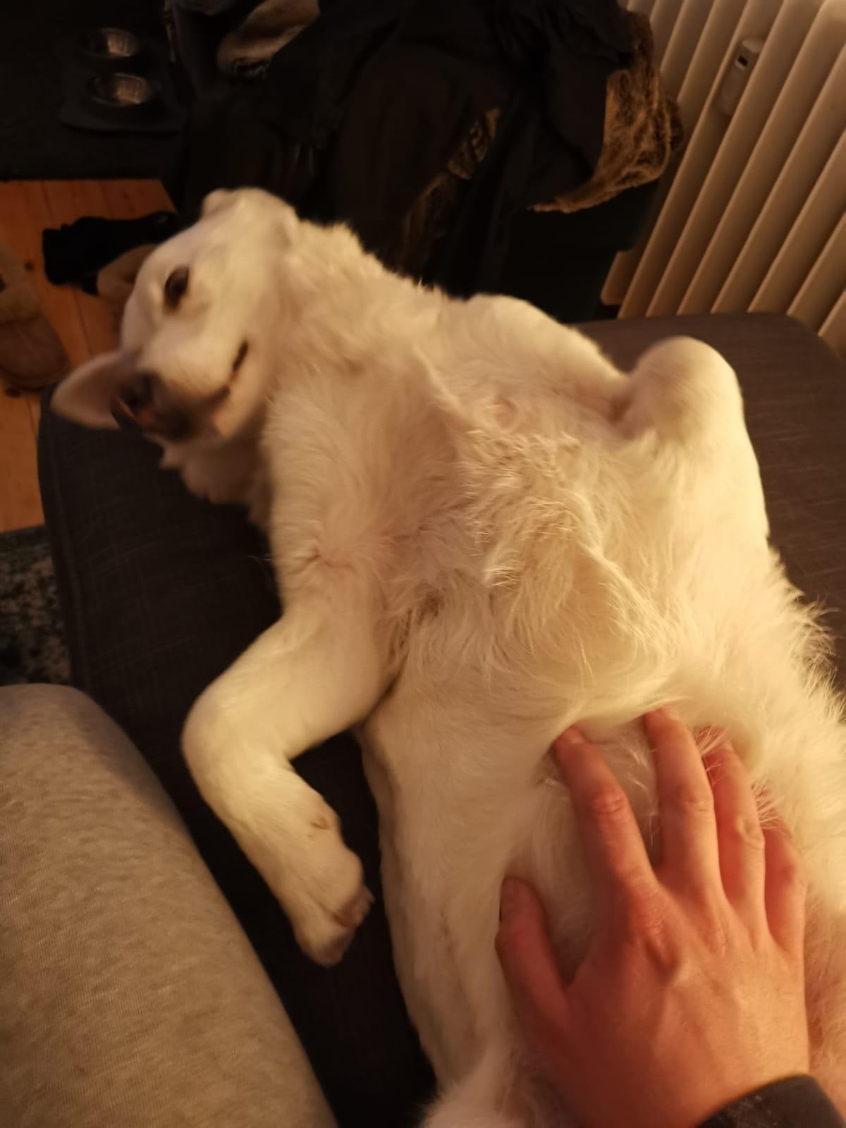 image-8