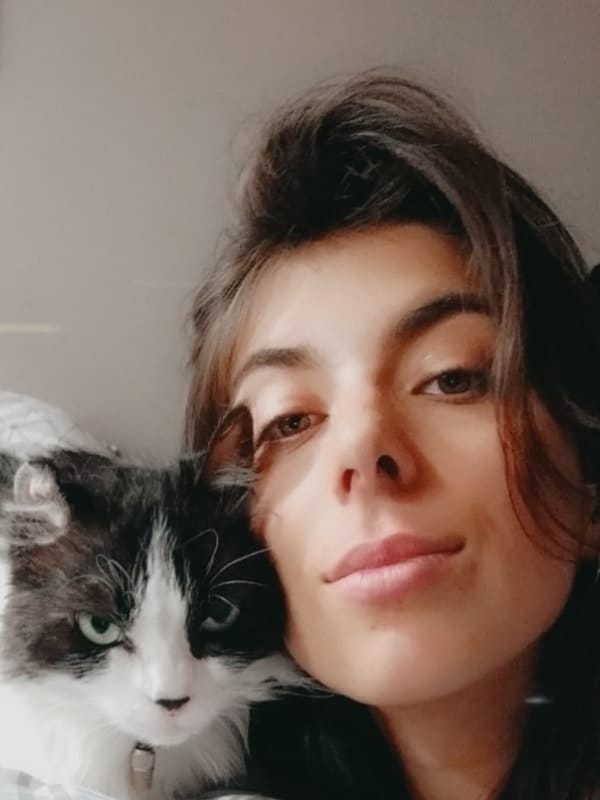 image-6