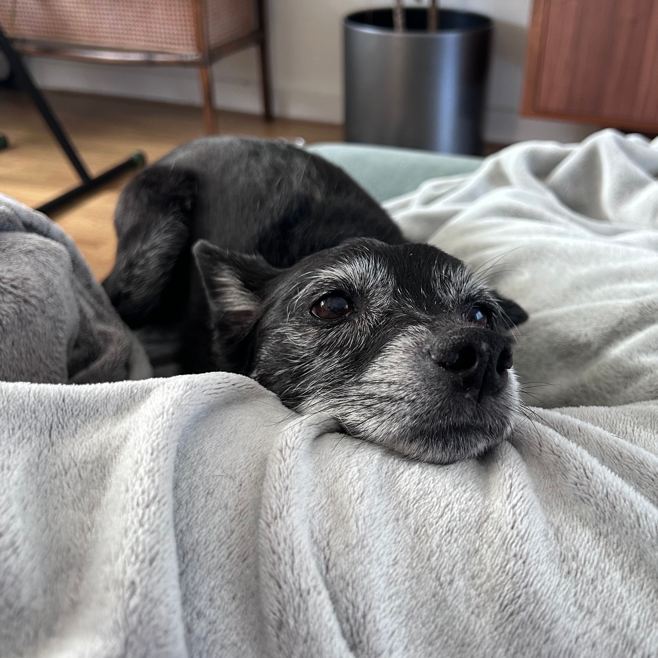 missy