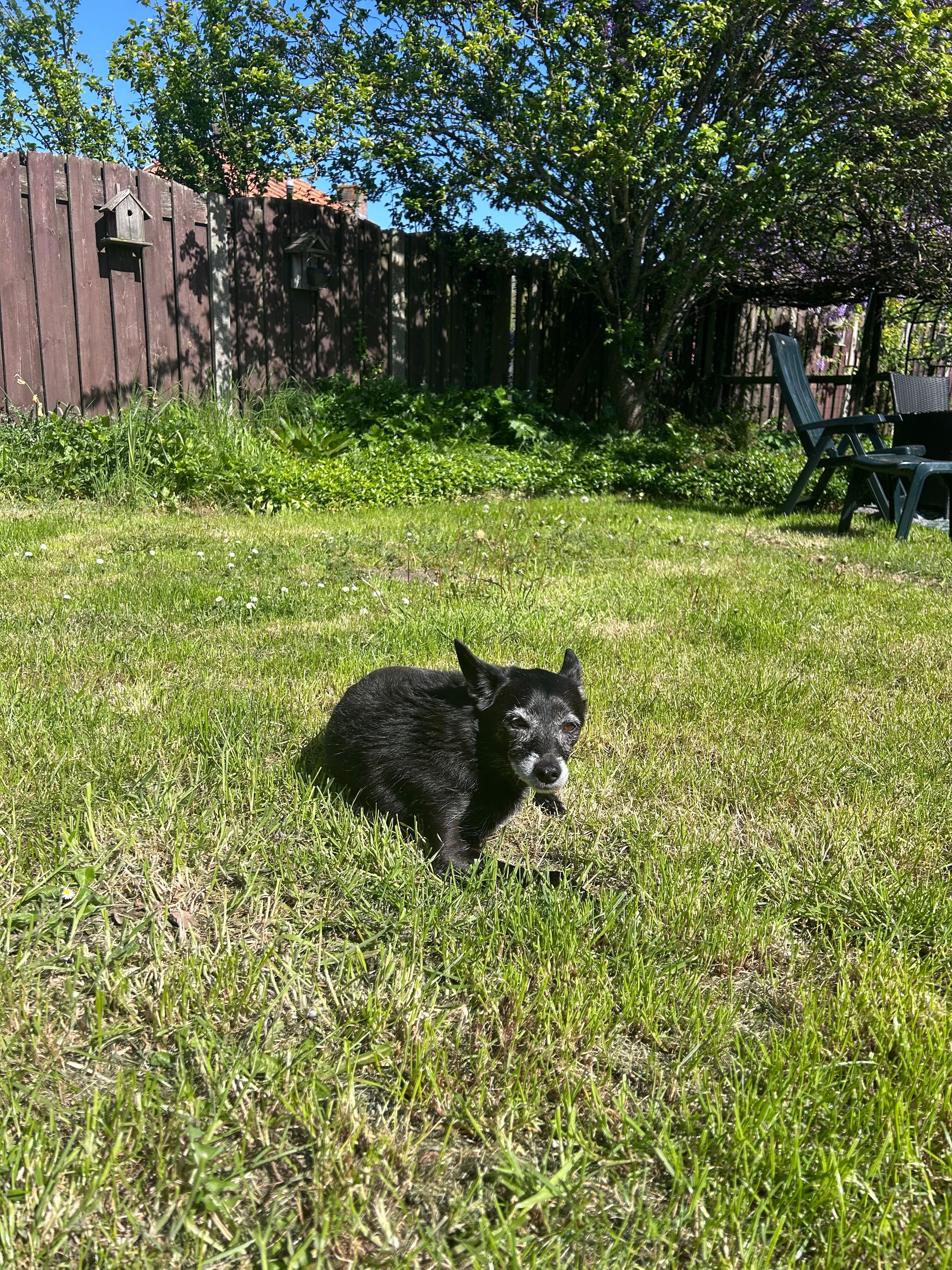 image-7