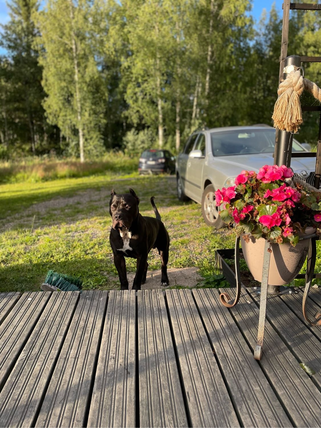 image-6