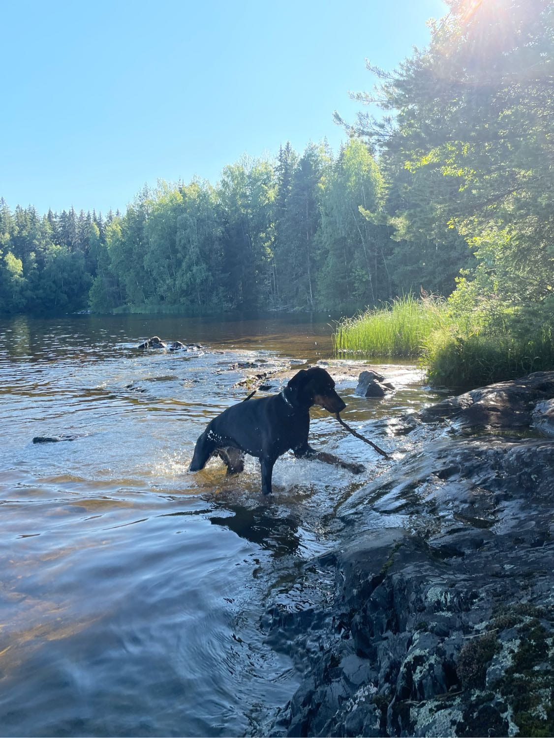 image-11