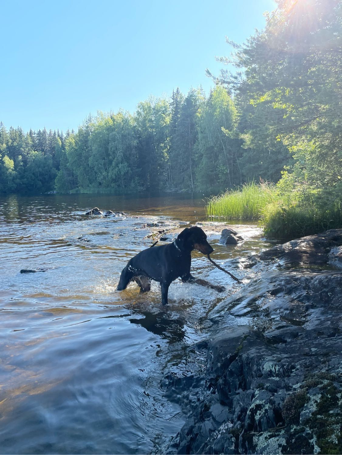 image-11