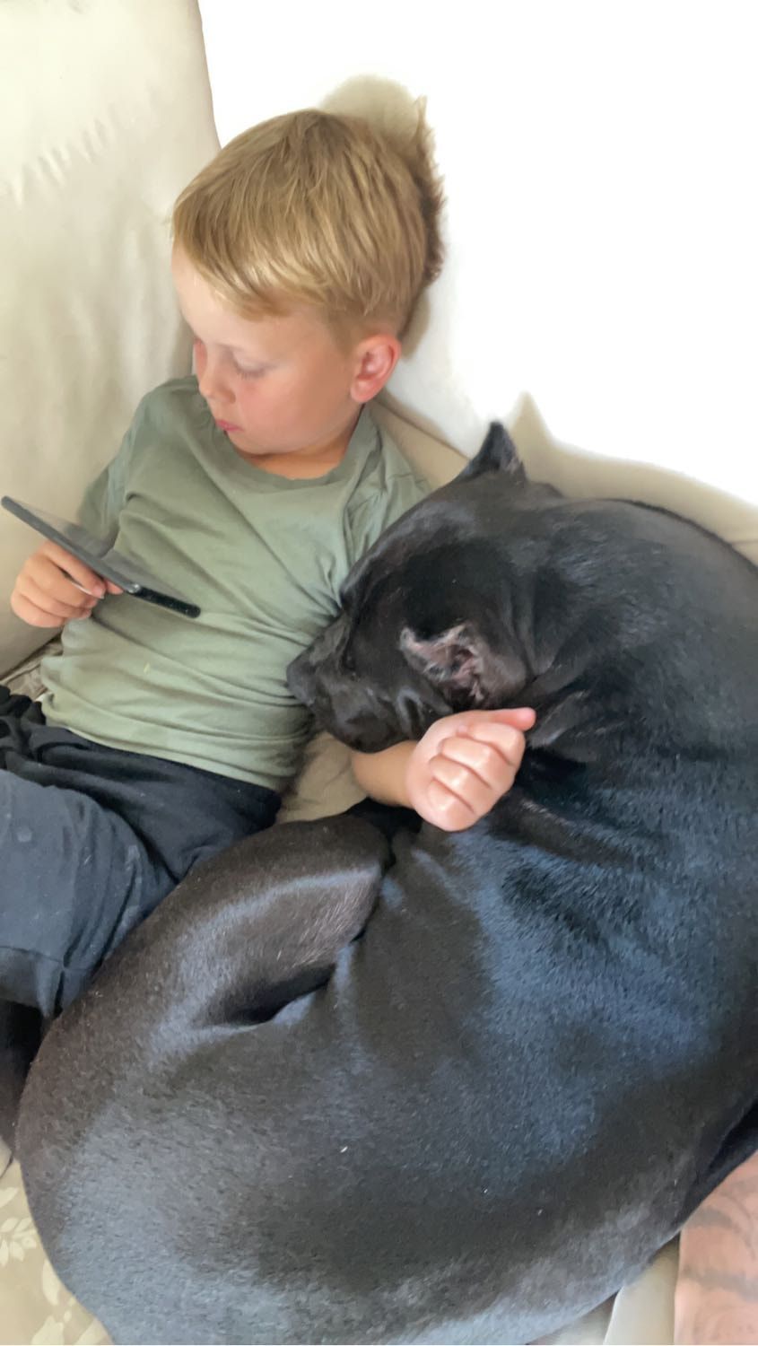 image-8