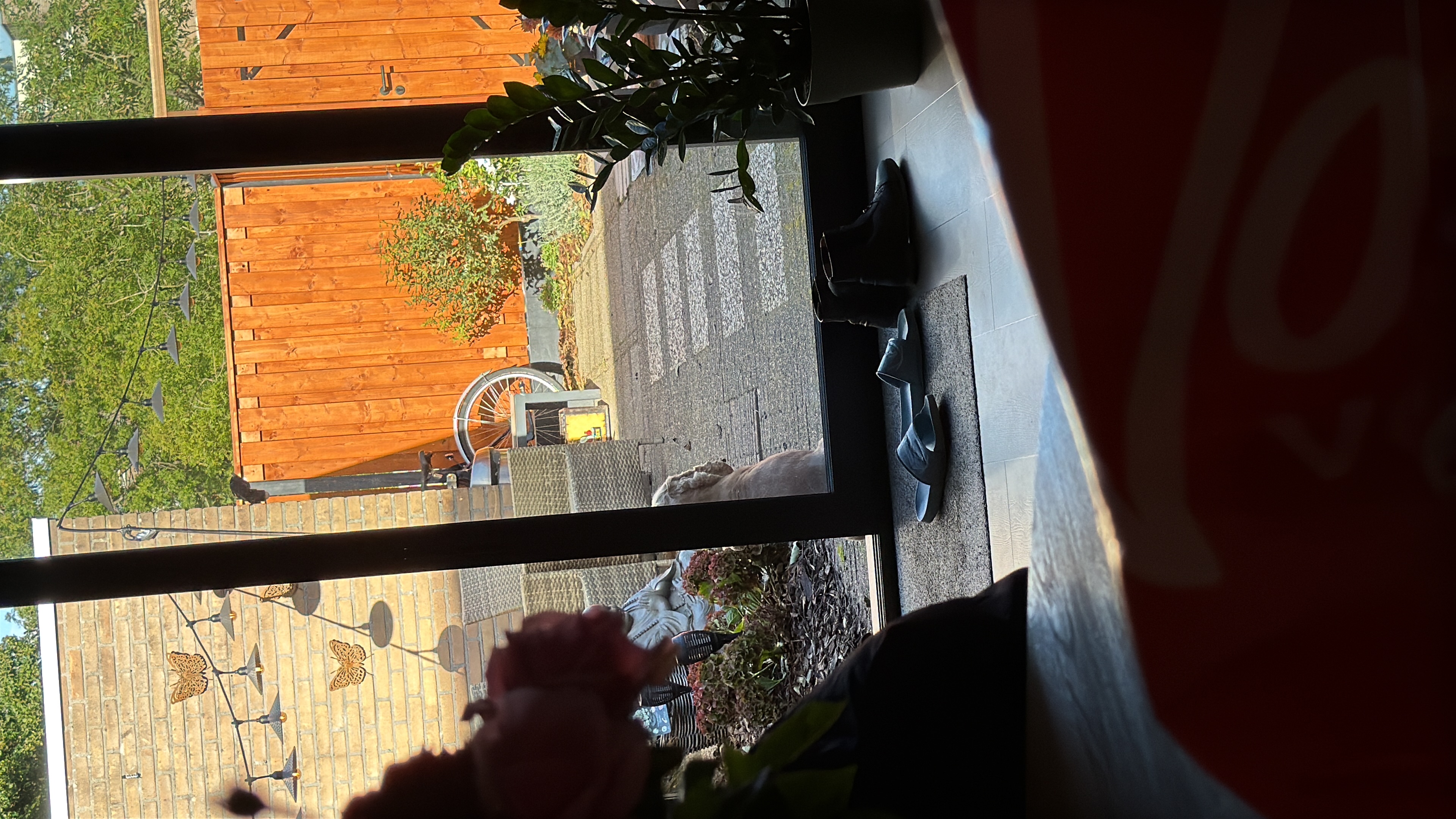 image-6