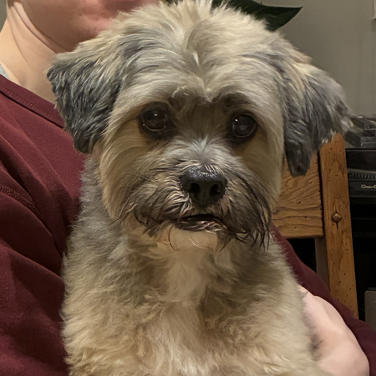 Marley
