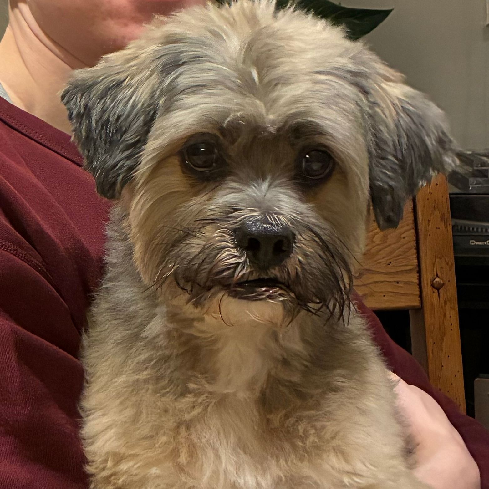 Marley