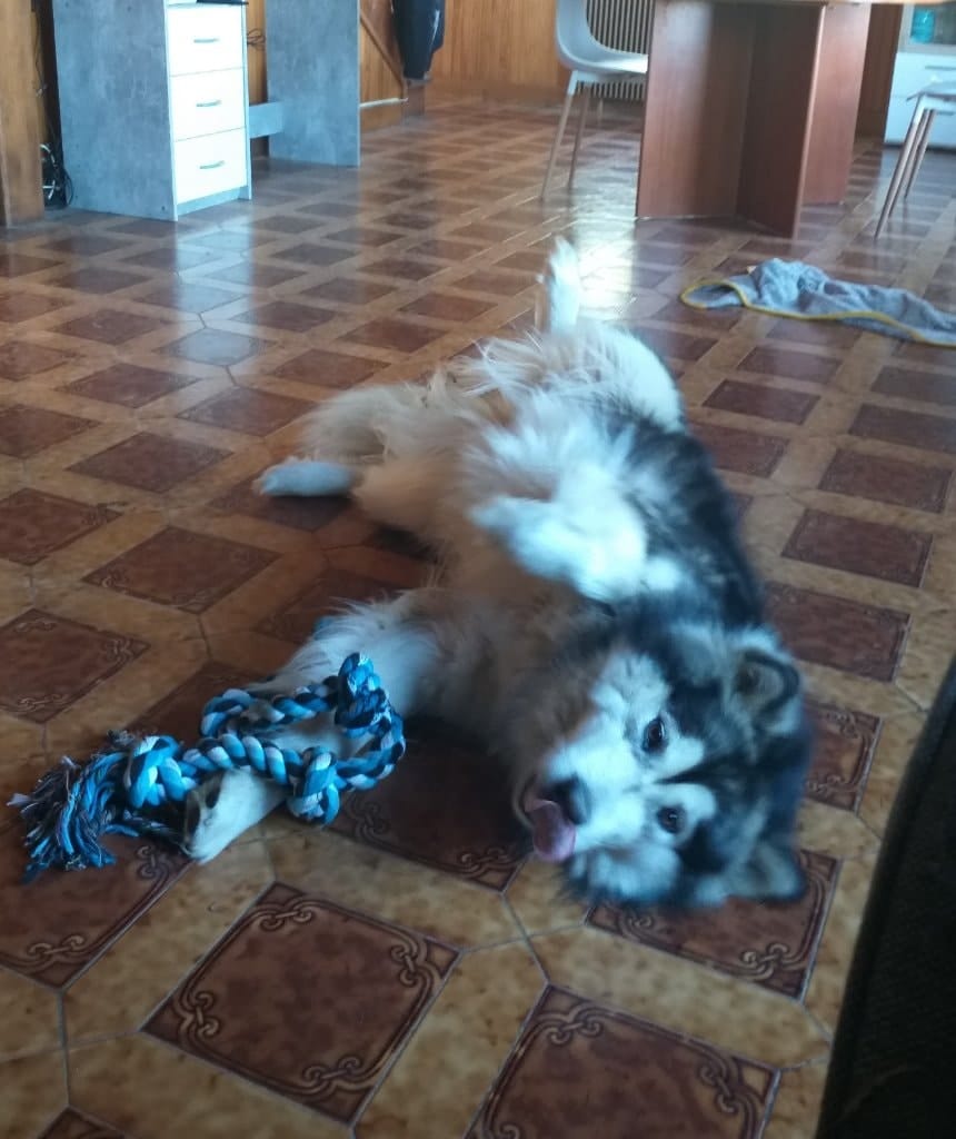 image-4