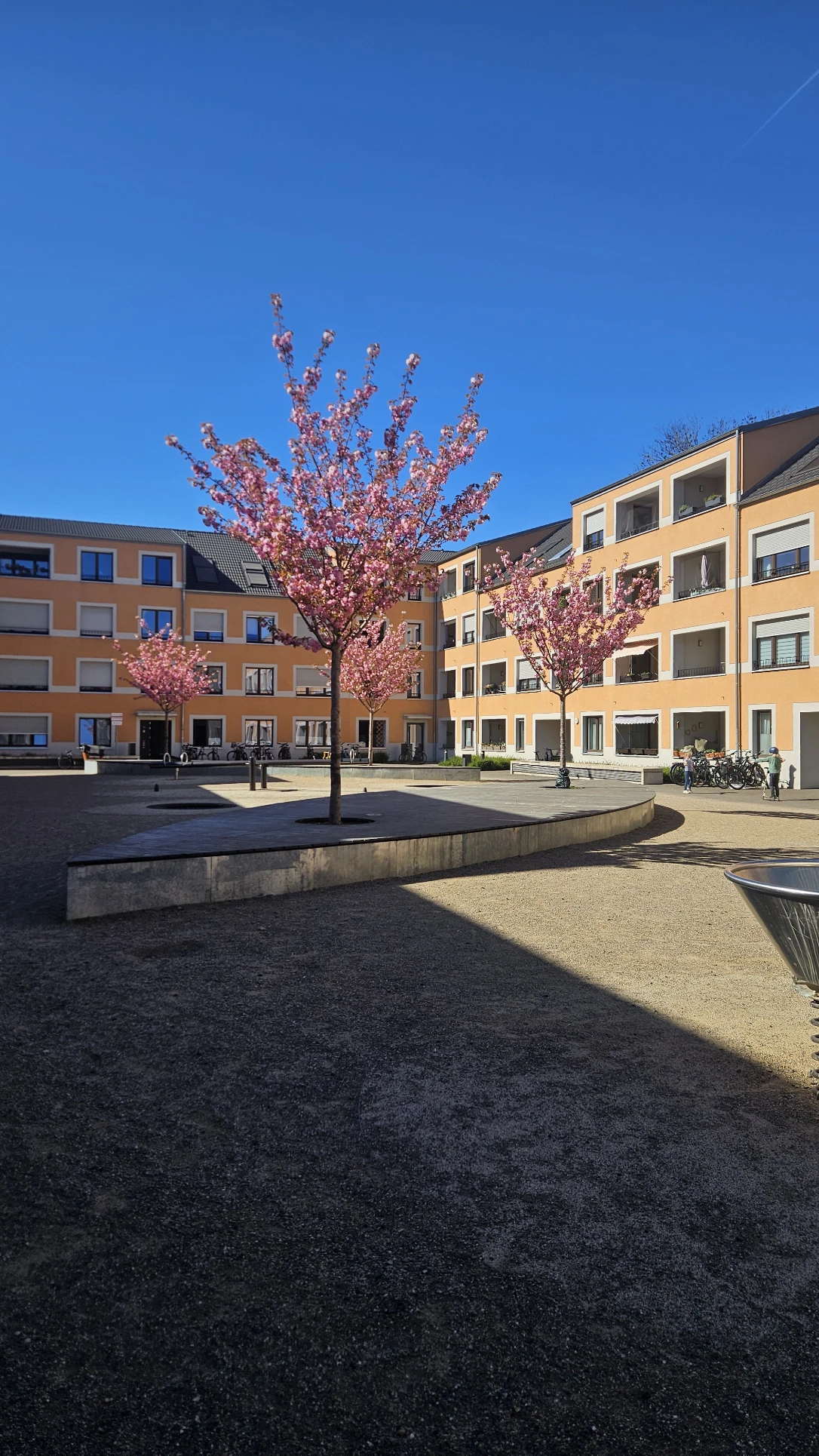image-19